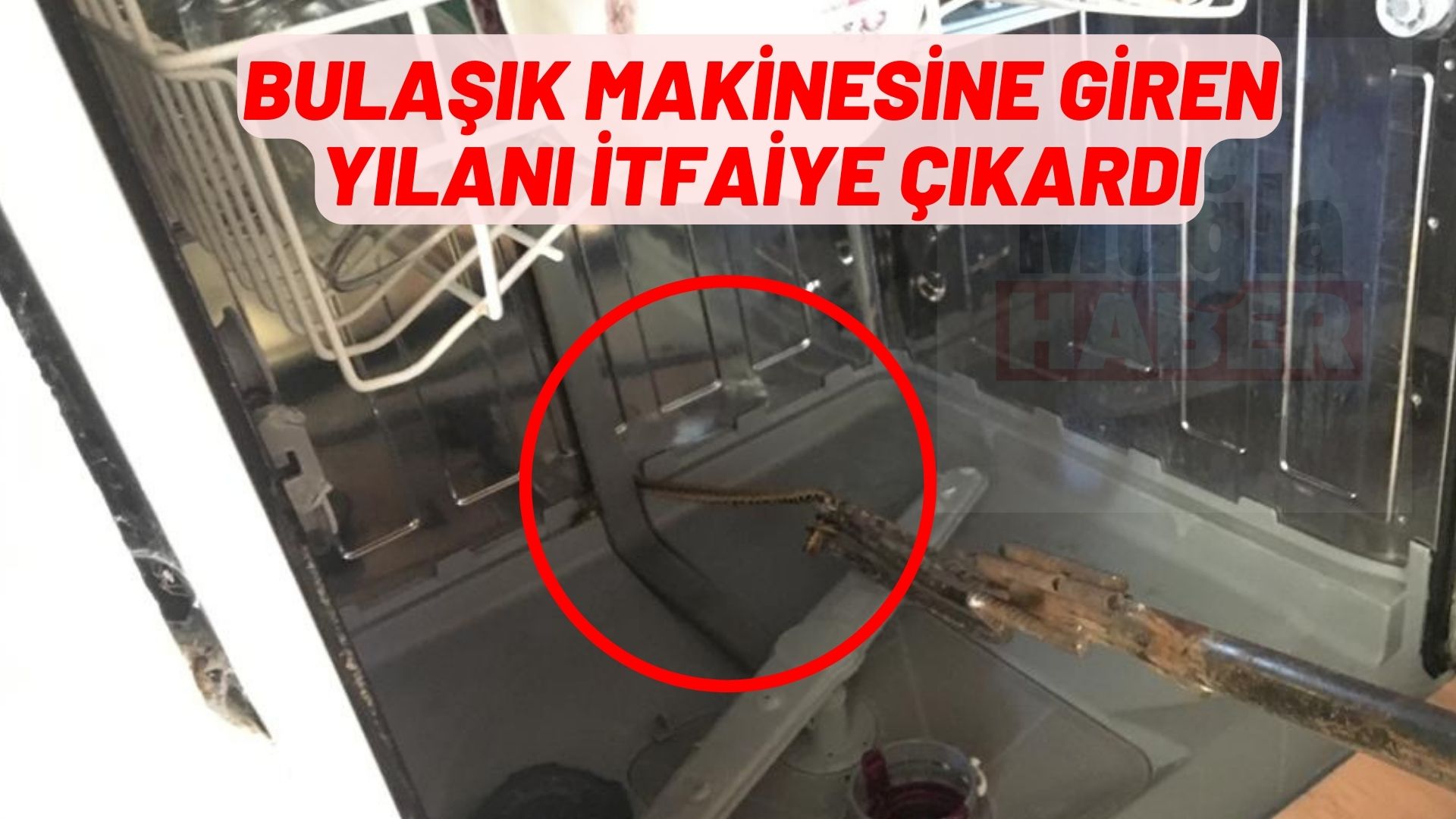 bulaşık makinesine giren yılanı itfaiye çıkardı