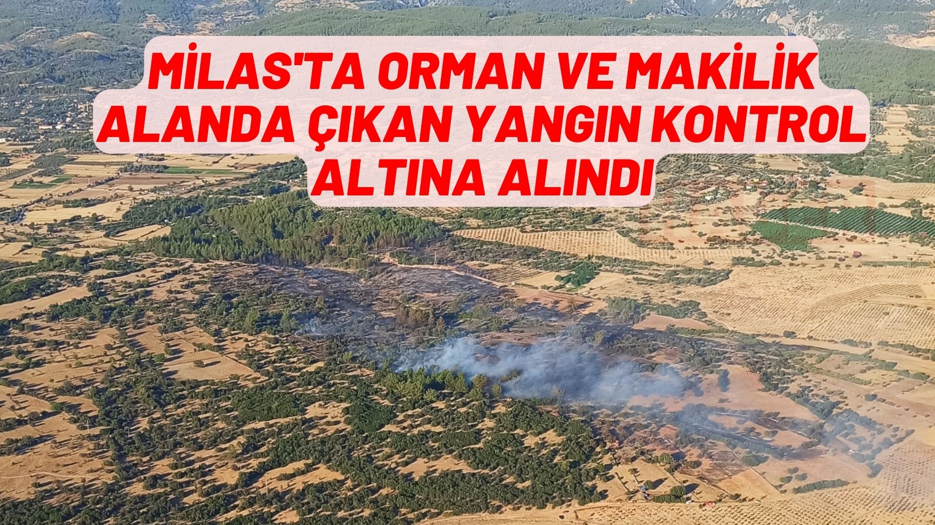 Milas'ta orman ve makilik alanda çıkan yangın kontrol altına alındı