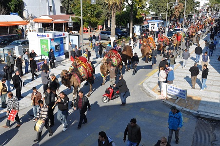 Bodrum Deve Güreşi Festivali kortej ile başladı