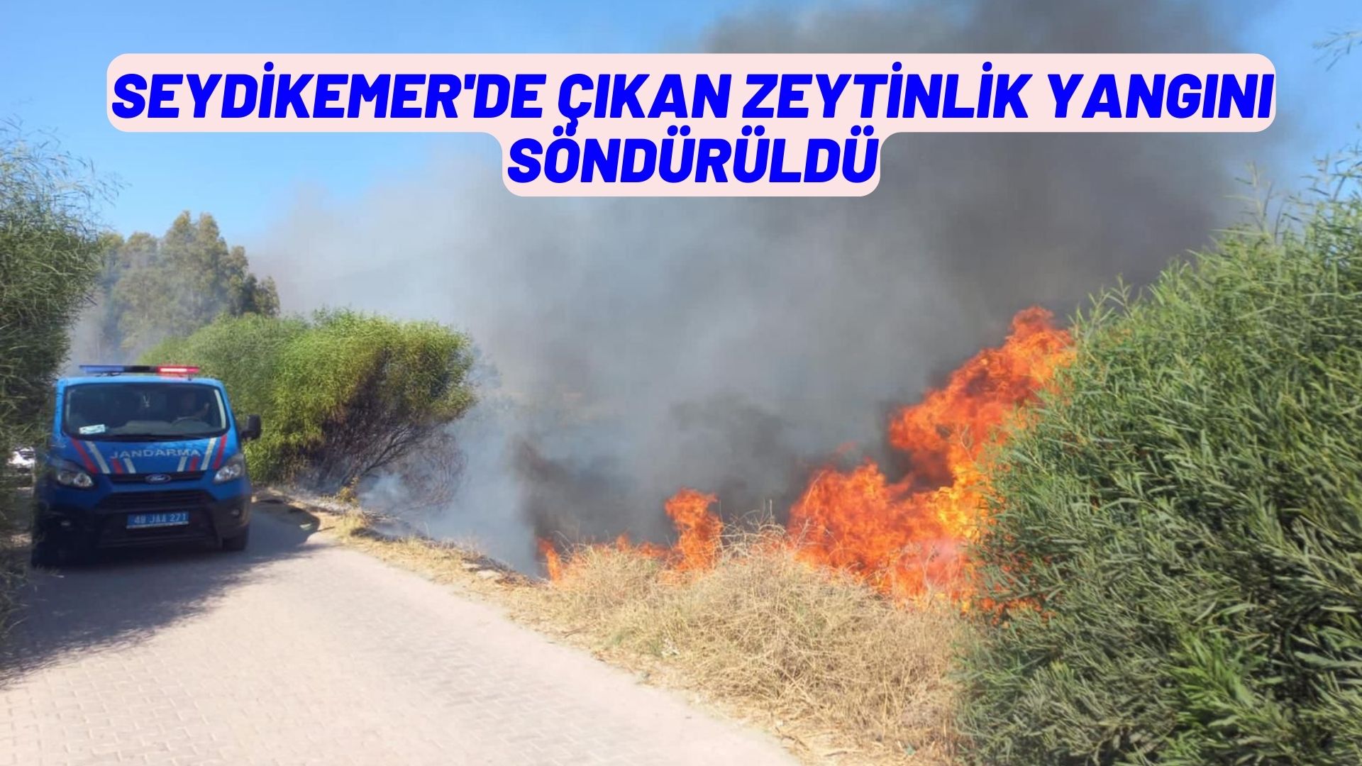 Seydikemer'de çıkan zeytinlik yangını söndürüldü