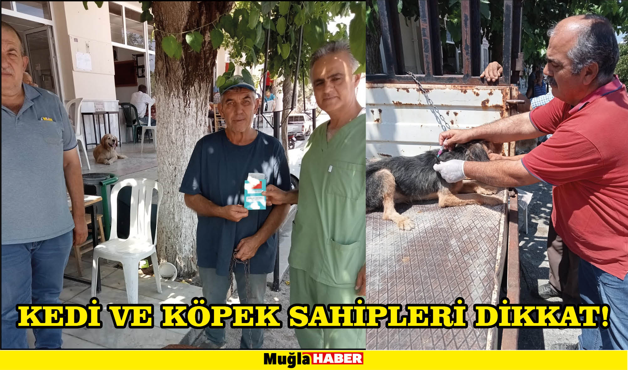 KEDİ VE KÖPEK SAHİPLERİ DİKKAT!