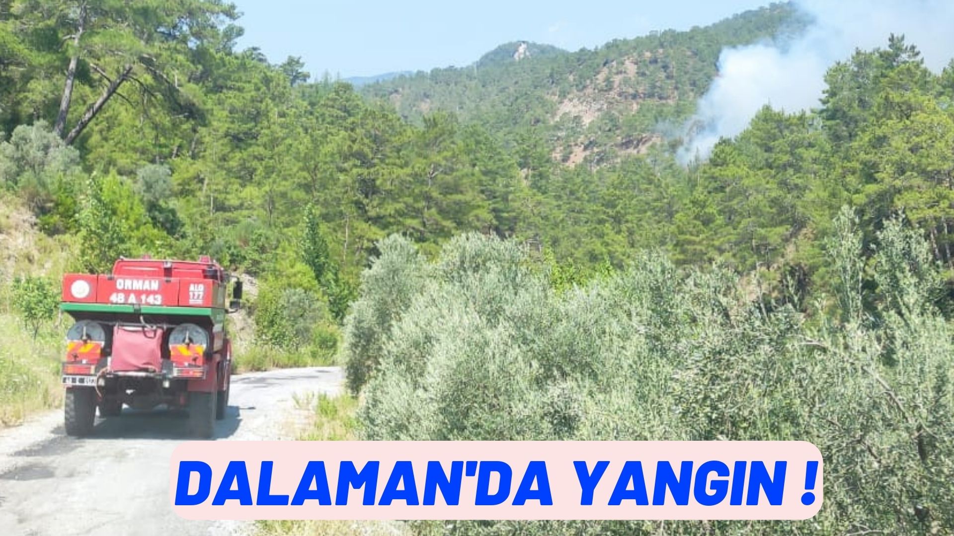 dalaman'da yangın başladı