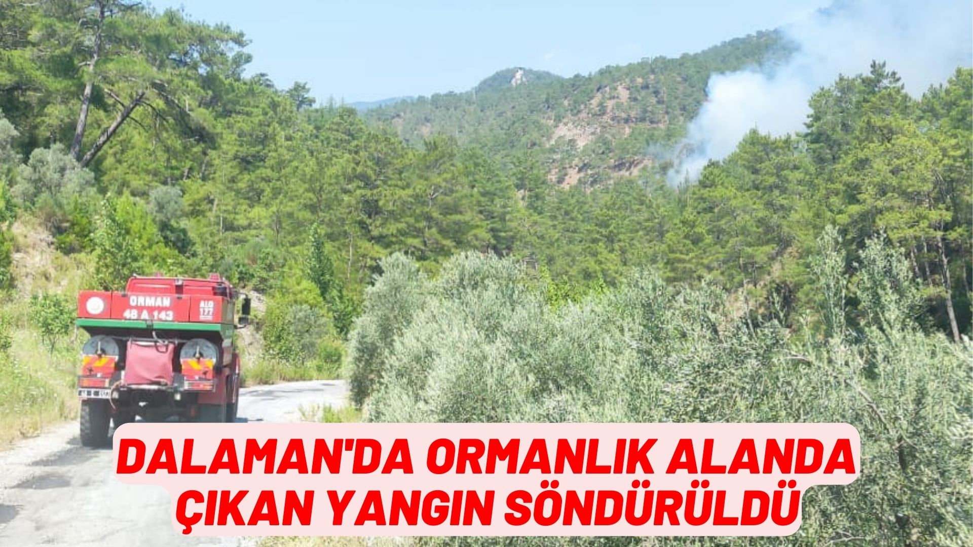 dalaman'da ormanlık alanda çıkan yangın söndürüldü