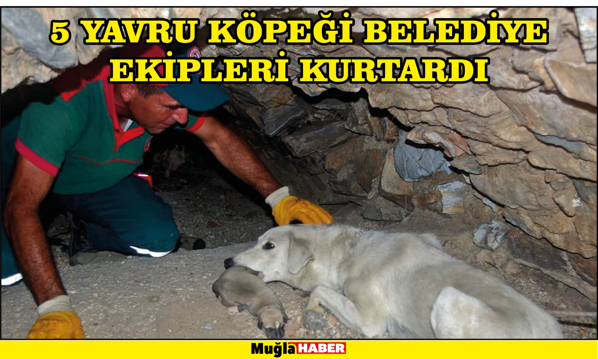 5 YAVRU KÖPEĞİ BELEDİYE EKİPLERİ KURTARDI