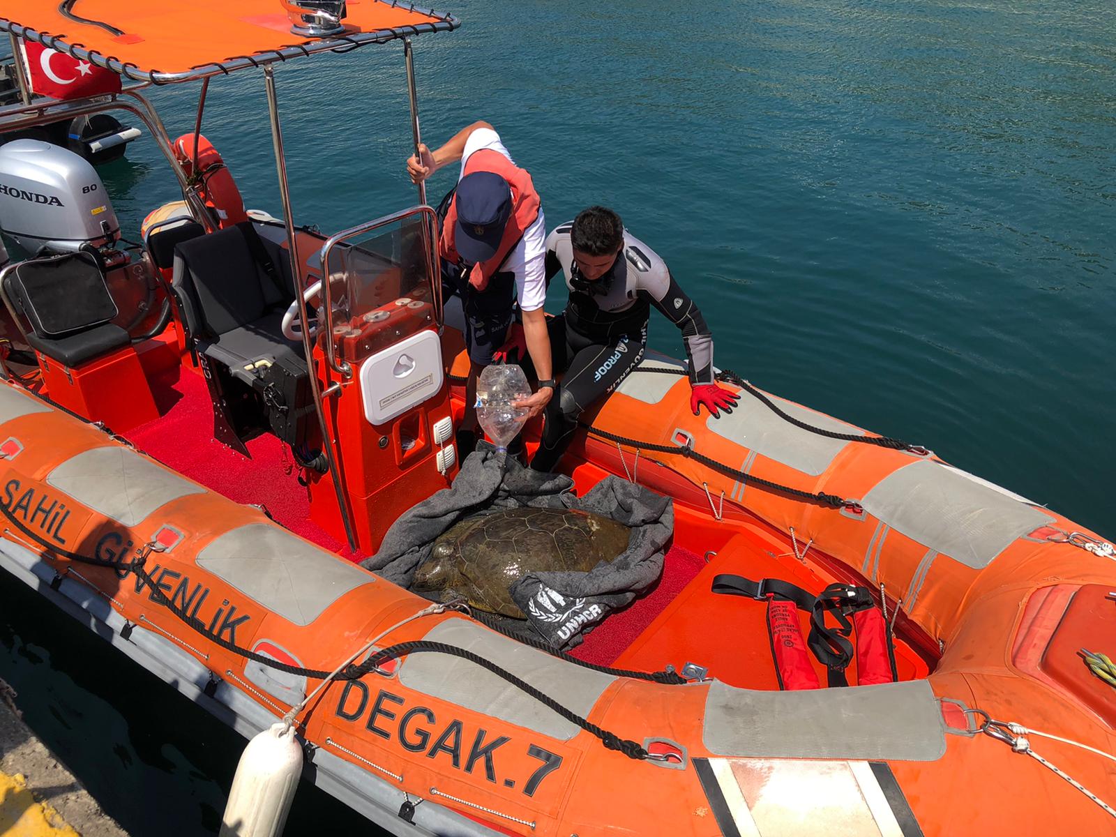 Muğla'da bitkin halde bulunan deniz kaplumbağası tedaviye alındı