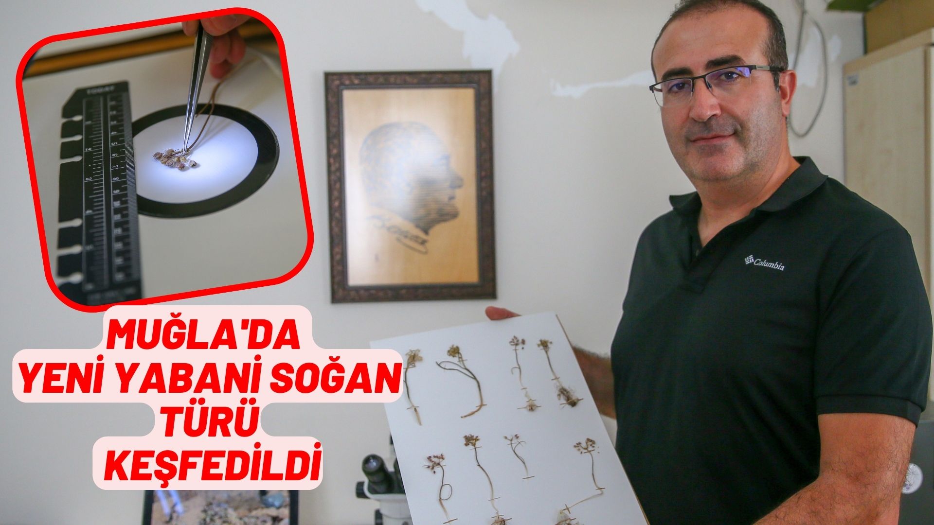 Muğla'da yeni yabani soğan türü keşfedildi