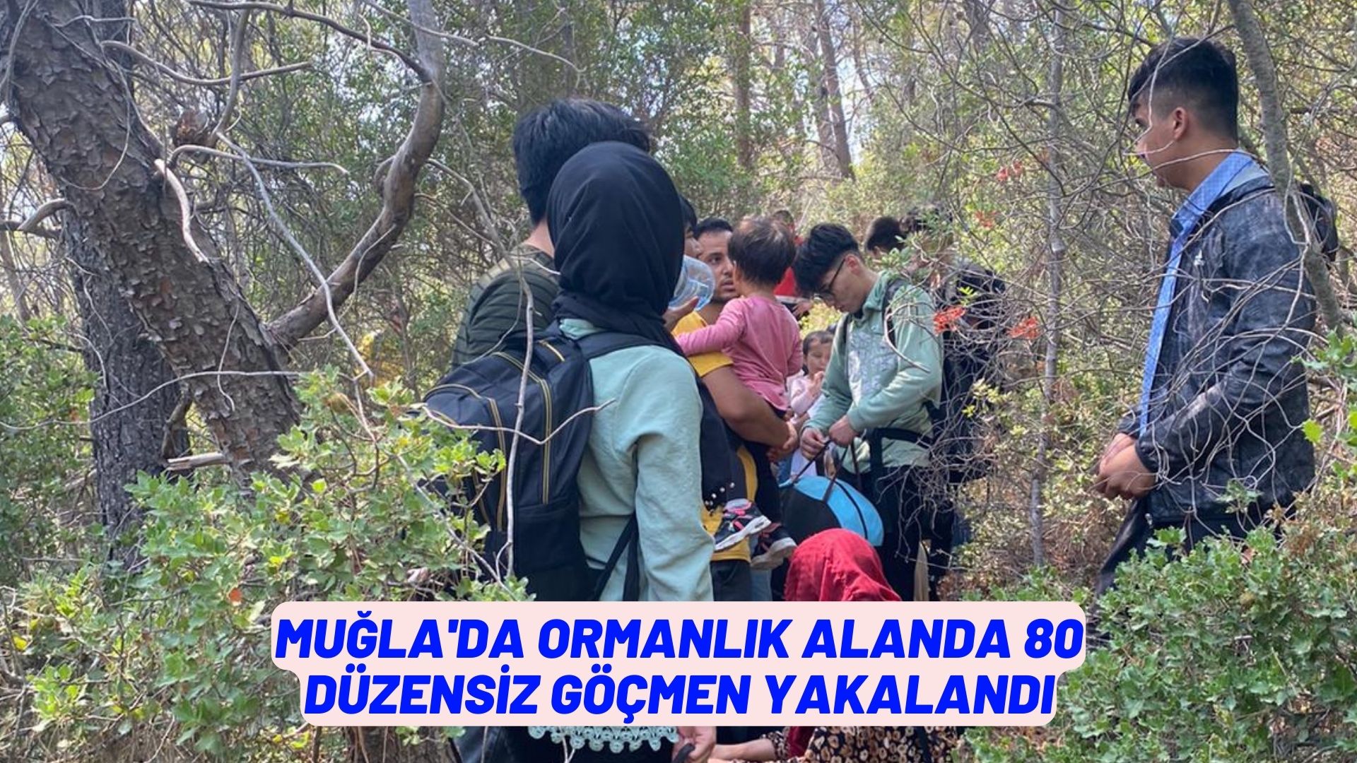 Muğla'da ormanlık alanda 80 düzensiz göçmen yakalandı