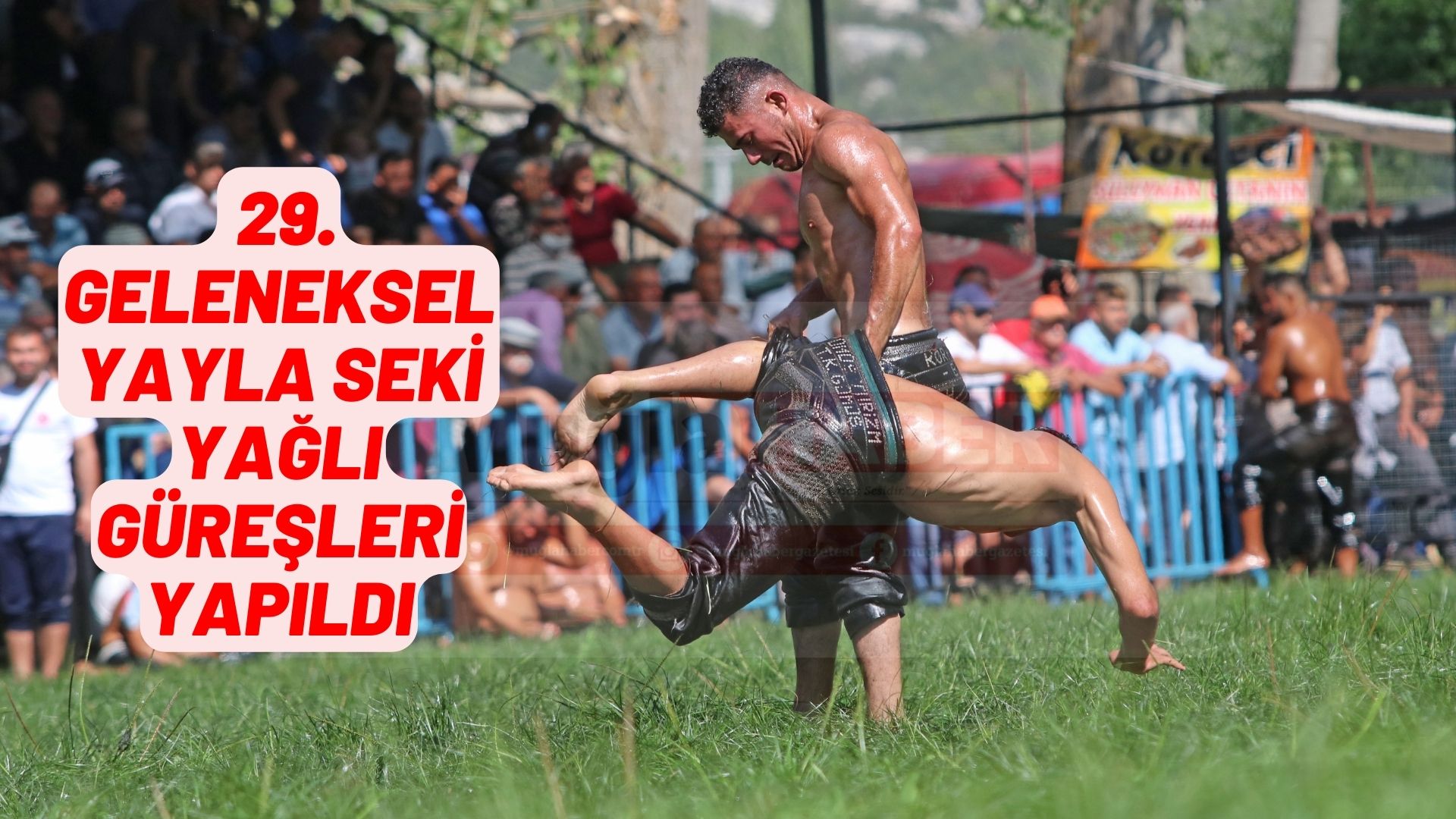 29. Geleneksel Yayla Seki Yağlı Güreşleri yapıldı