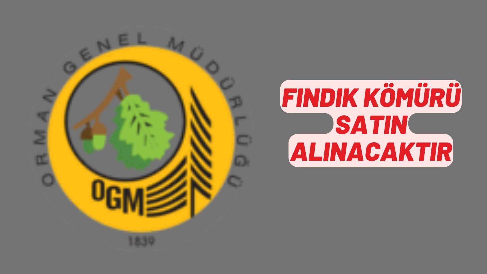 Fındık kömürü satın alınacaktır