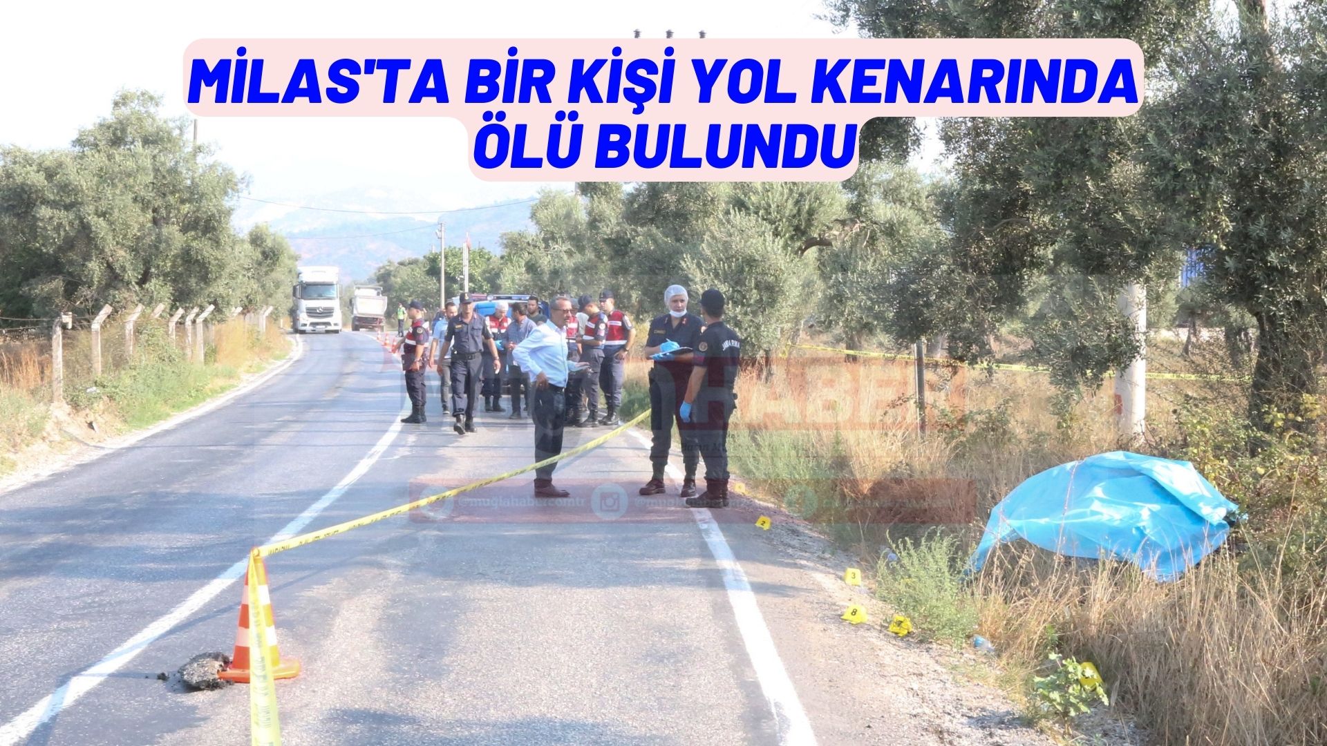 Milas'ta bir kişi yol kenarında ölü bulundu