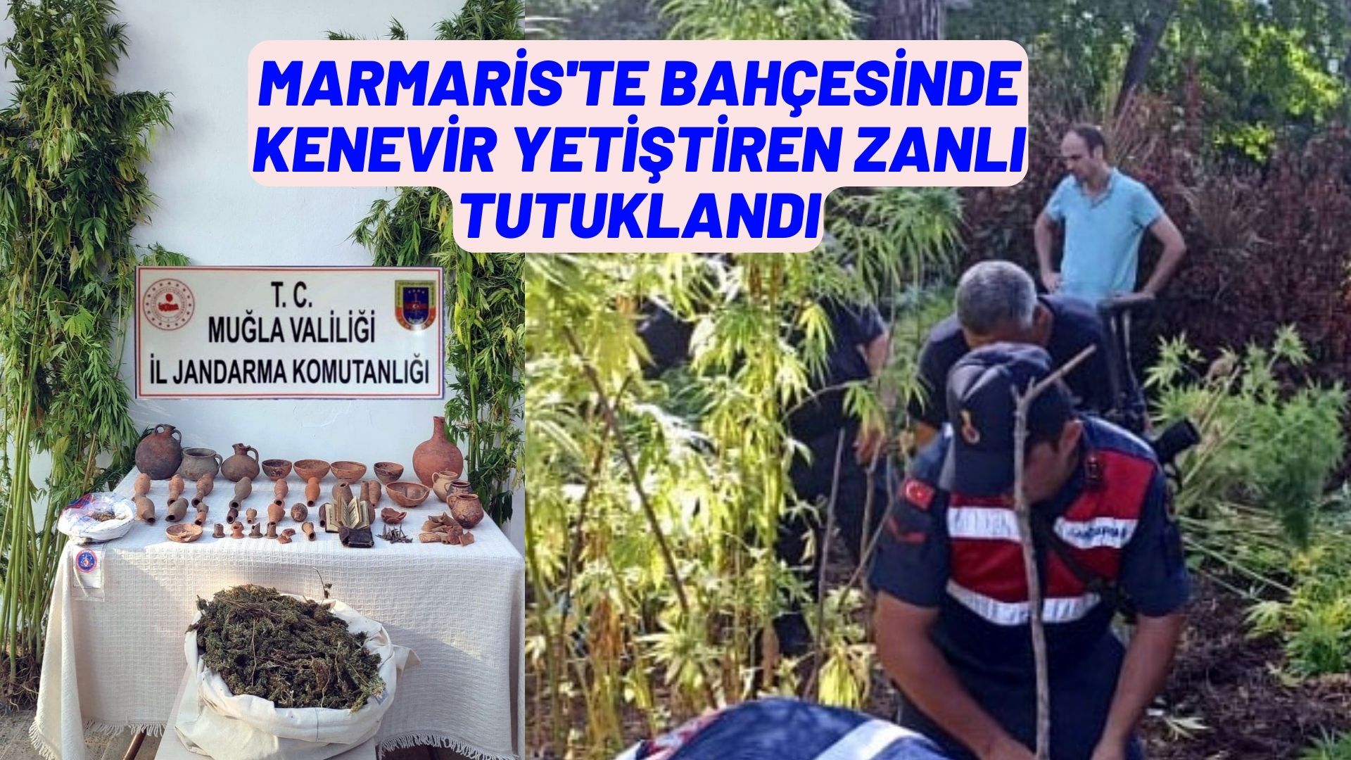 Marmaris'te bahçesinde kenevir yetiştiren zanlı tutuklandı