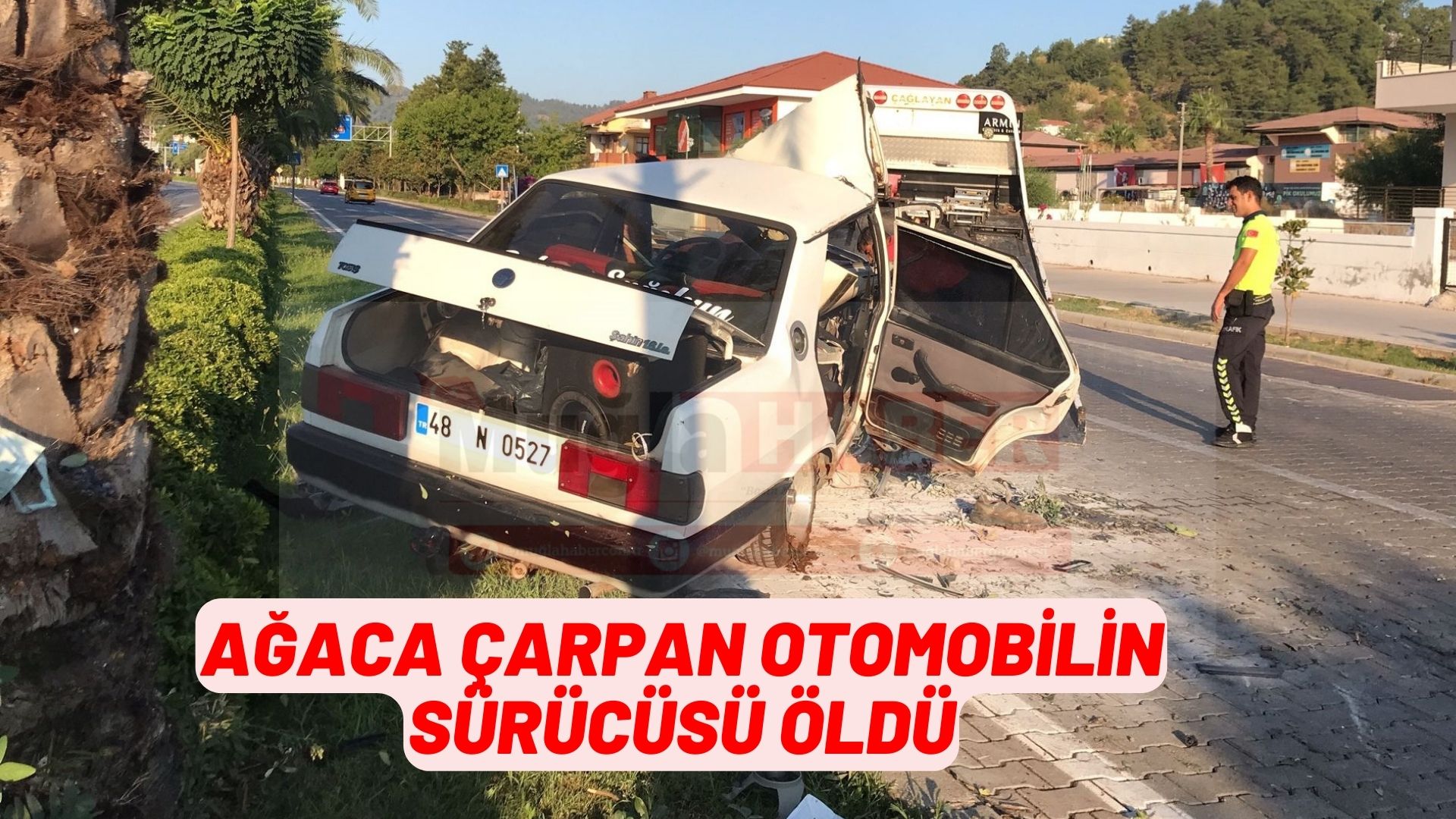 Muğla'da ağaca çarpan otomobilin sürücüsü öldü