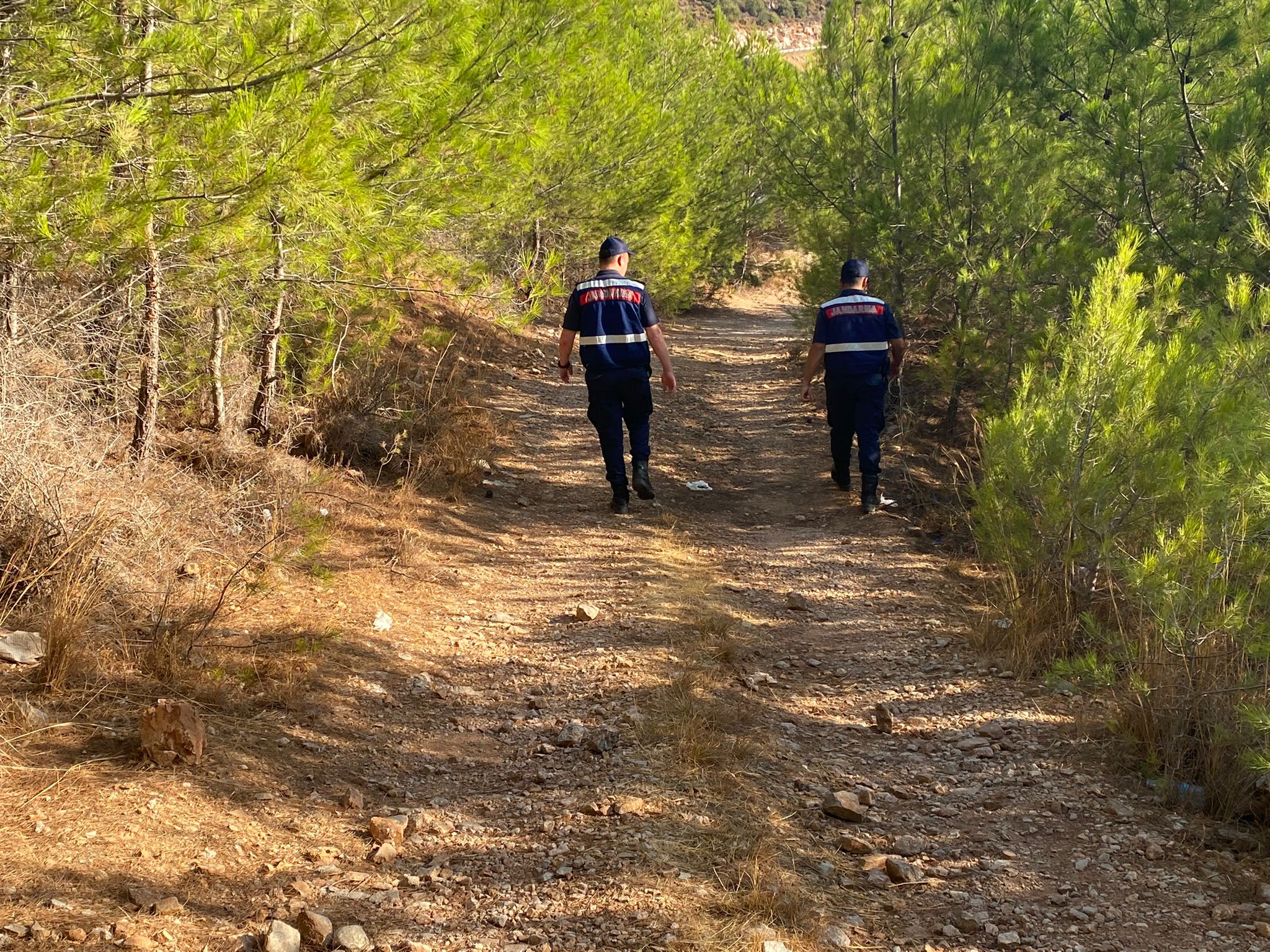 Muğla'da jandarma ekipleri orman yangınlarına karşı devriye görevi yapıyor