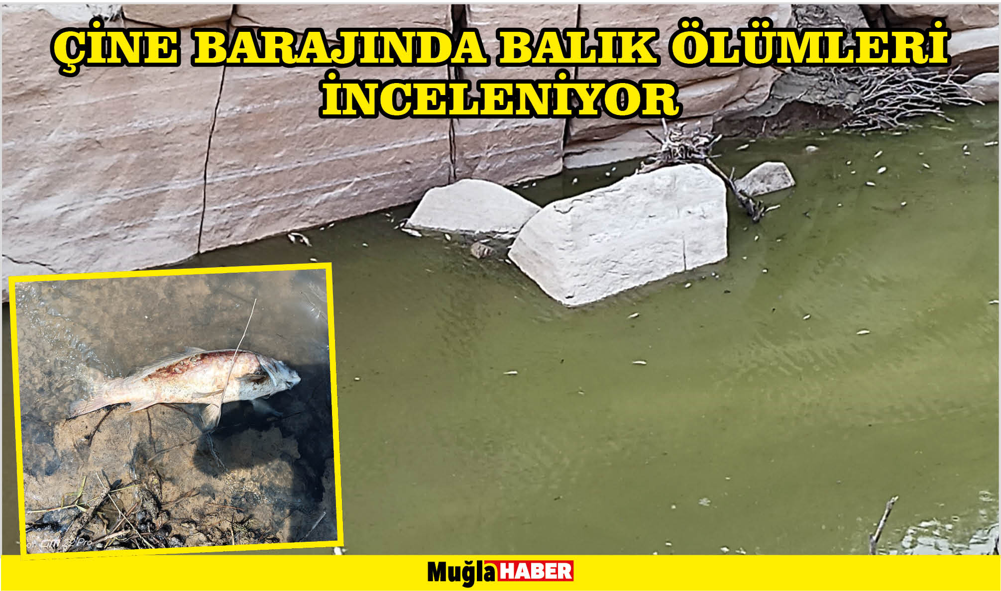 ÇİNE BARAJINDA BALIK ÖLÜMLERİ İNCELENİYOR