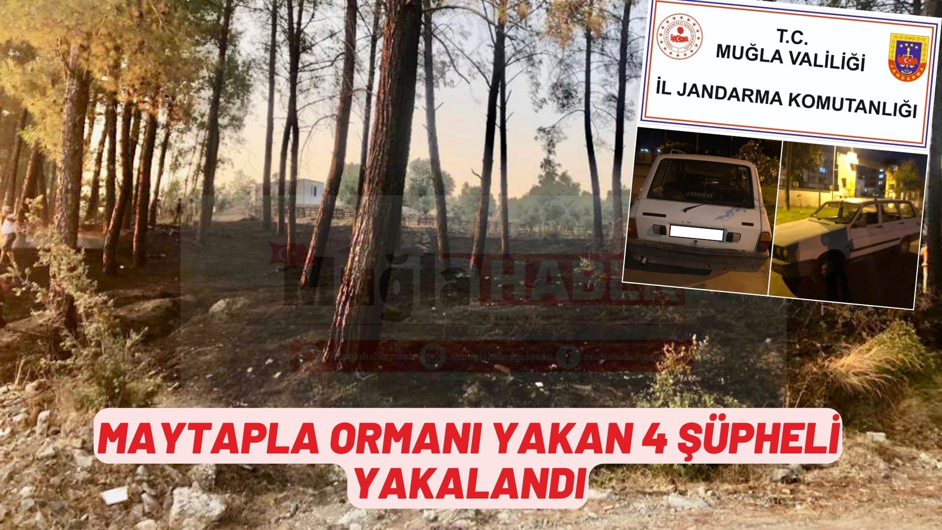 MAYTAPLA ORMANI YAKAN 4 ŞÜPHELİ YAKALANDI