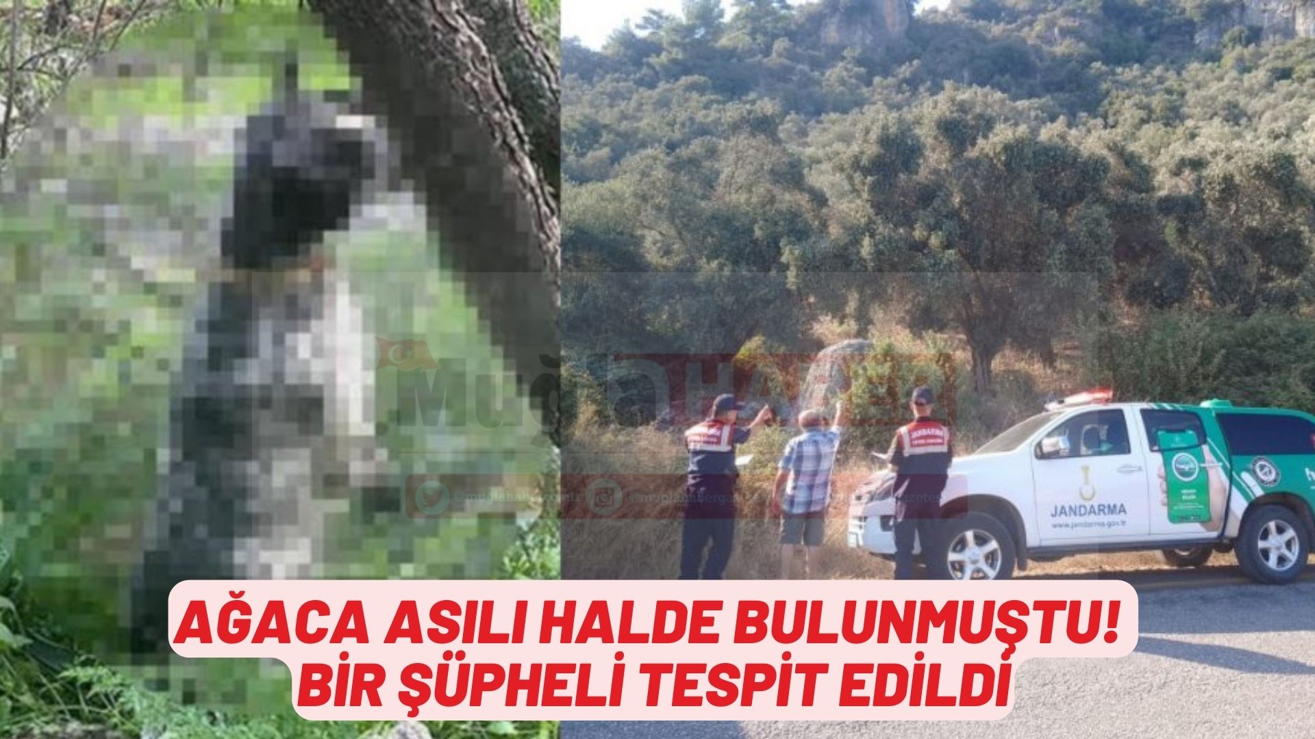 Ağaca asılı halde bulunmuştu! Bir şüpheli tespit edildi