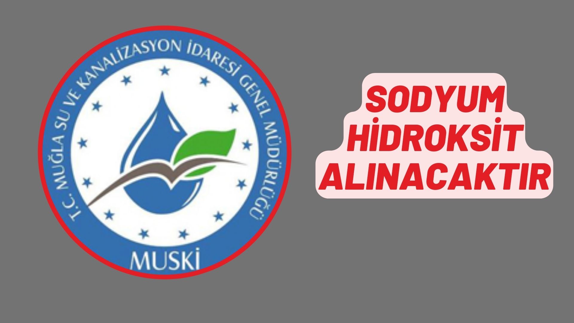 Sodyum hidroksit alınacaktır