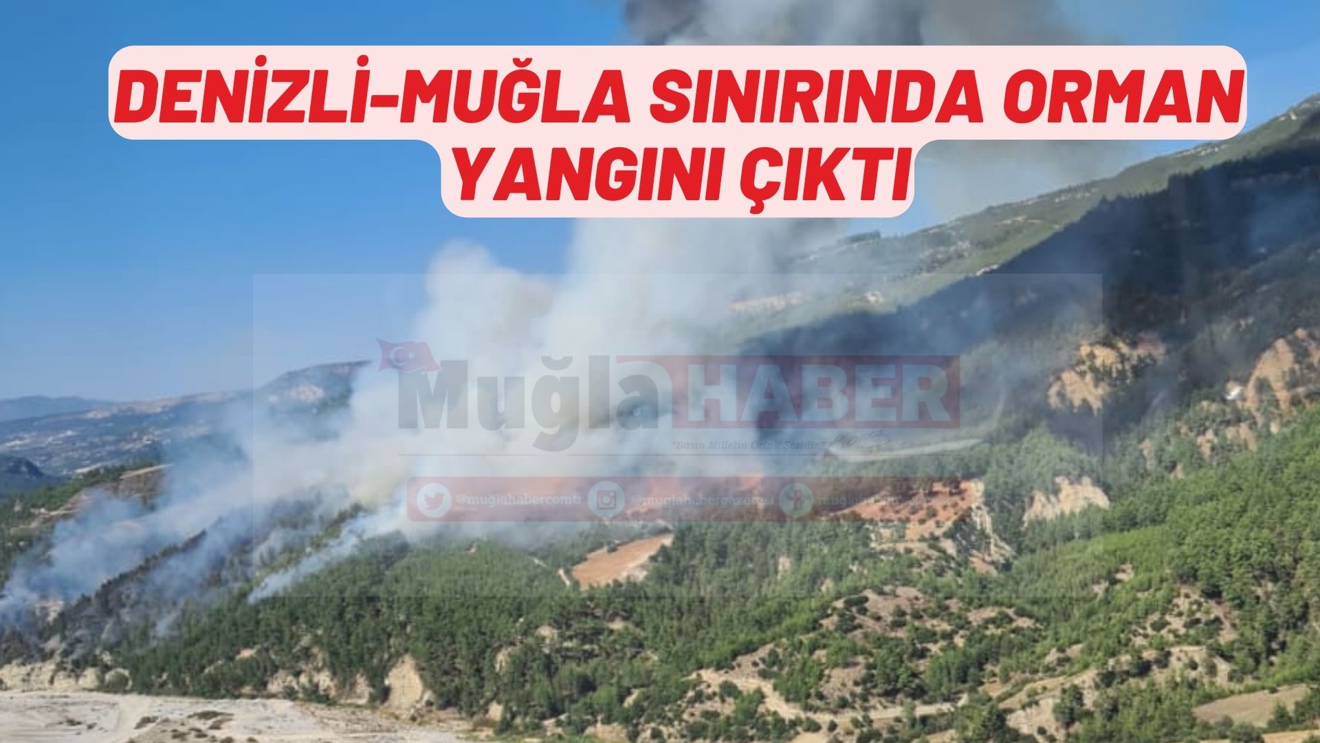 Denizli-Muğla sınırında orman yangını çıktı