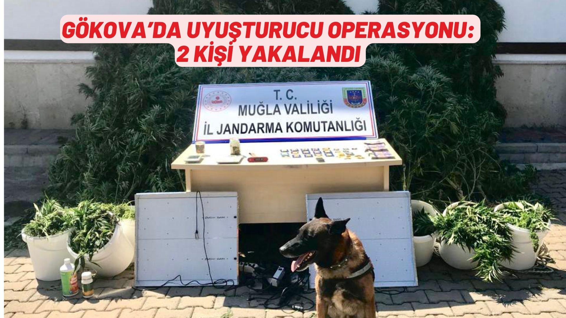 GÖKOVA'DA UYUŞTURUCU OPERASYONU: 2 KİŞİ YAKALANDI