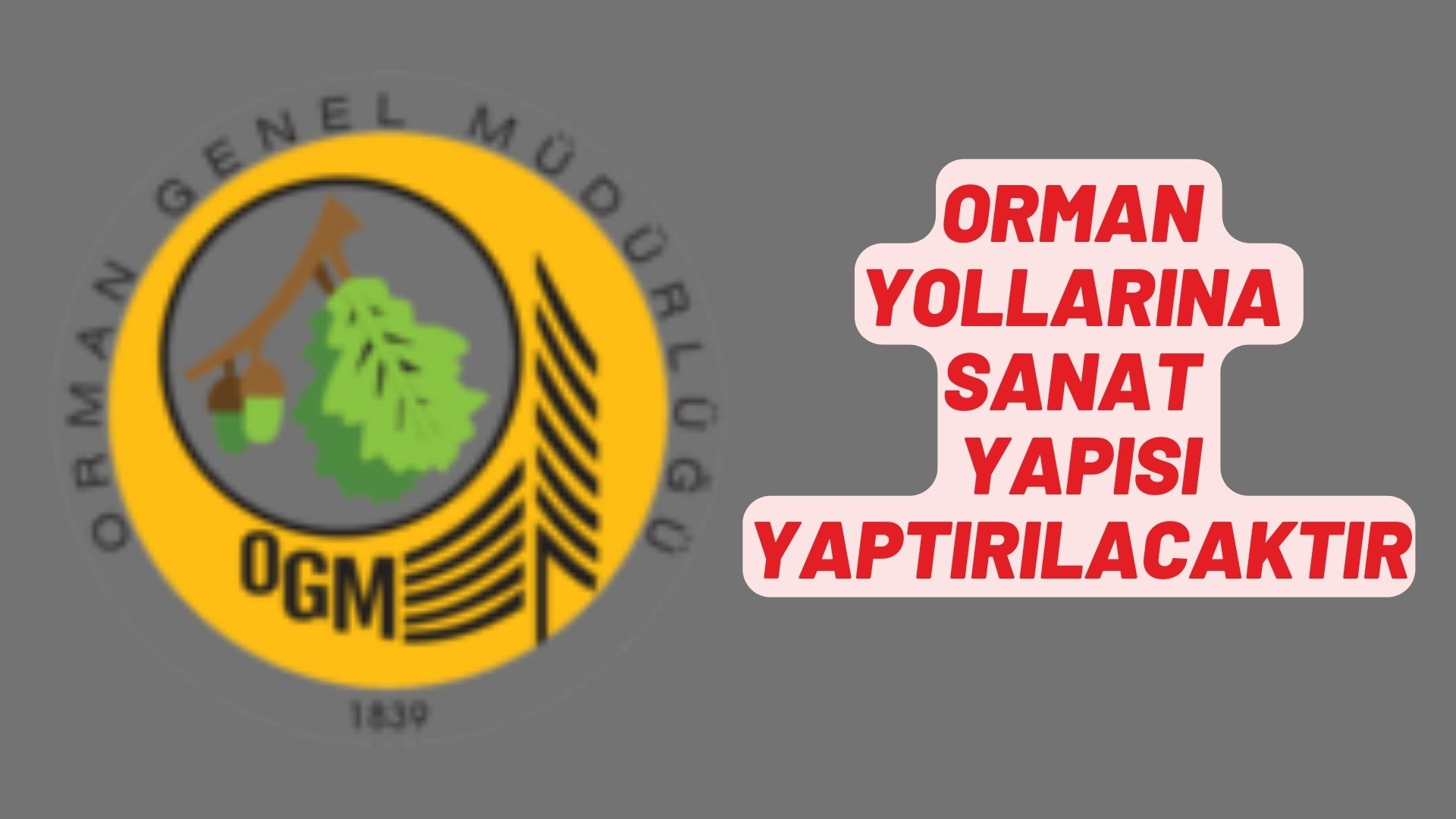 Orman yollarına sanat yapısı yaptırılacaktır