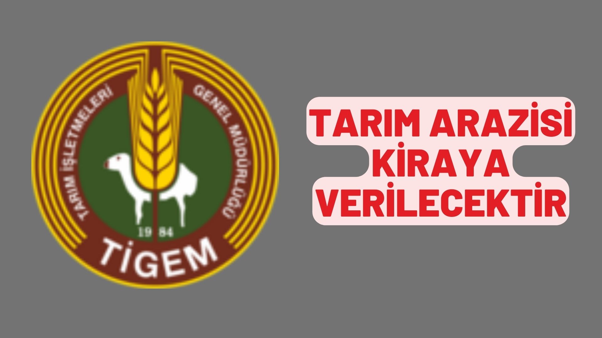 Tarım arazisi kiraya verilecektir