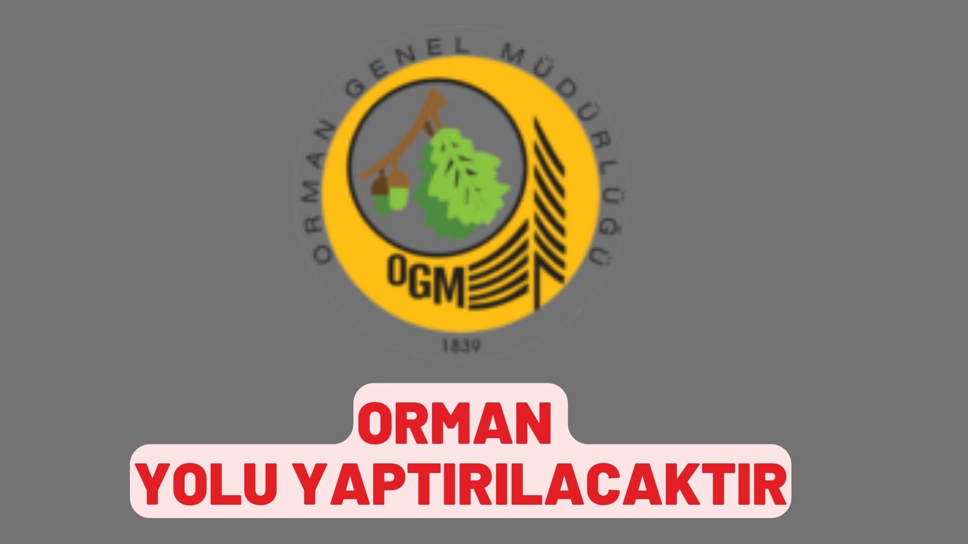 Orman yolu yaptırılacaktır