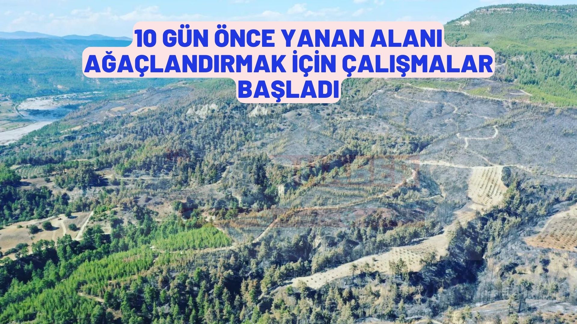 10 gün önce yanan alanı ağaçlandırmak için çalışmalar başladı