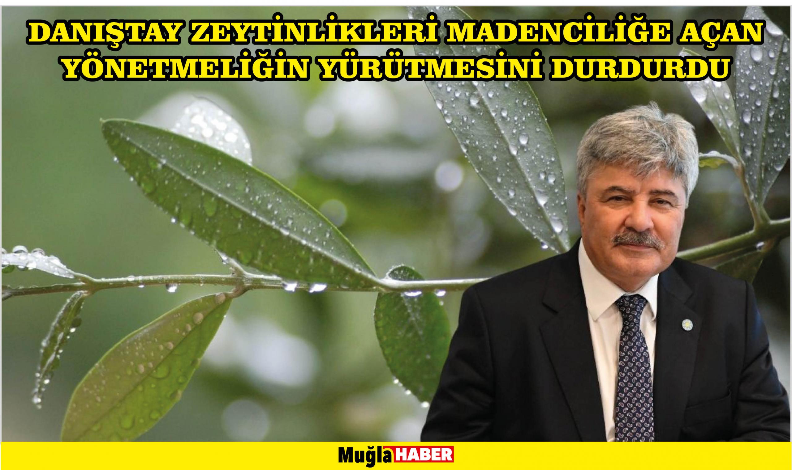 DANIŞTAY ZEYTİNLİKLERİ MADENCİLİĞE AÇAN YÖNETMELİĞİN YÜRÜTMESİNİ DURDURDU 