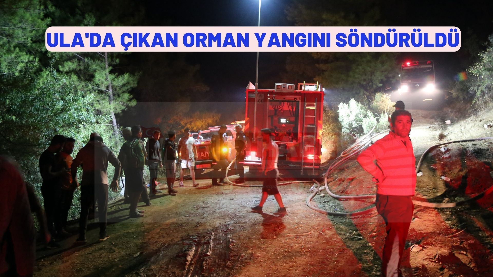 Ula'da çıkan orman yangını söndürüldü