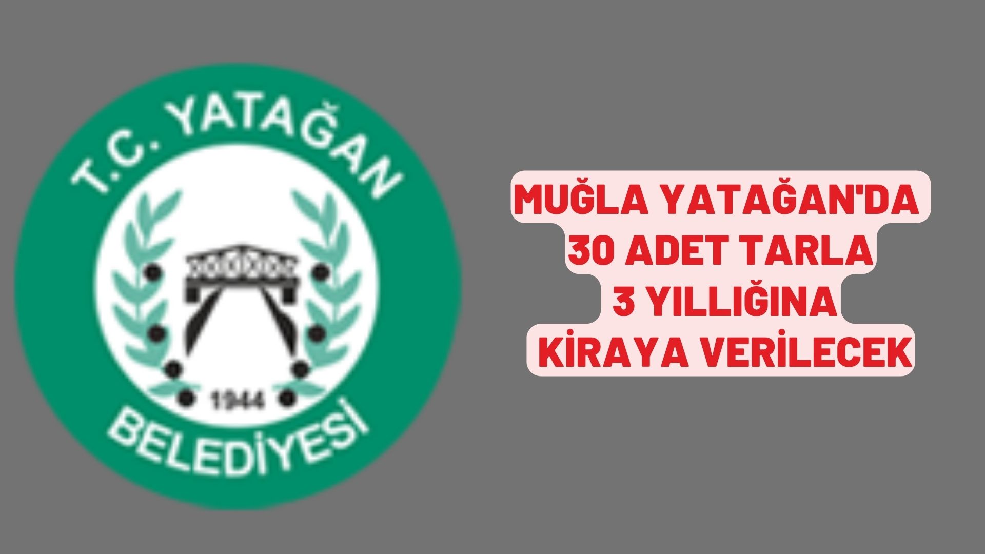 Muğla Yatağan'da 30 adet tarla 3 yıllığına kiraya verilecek