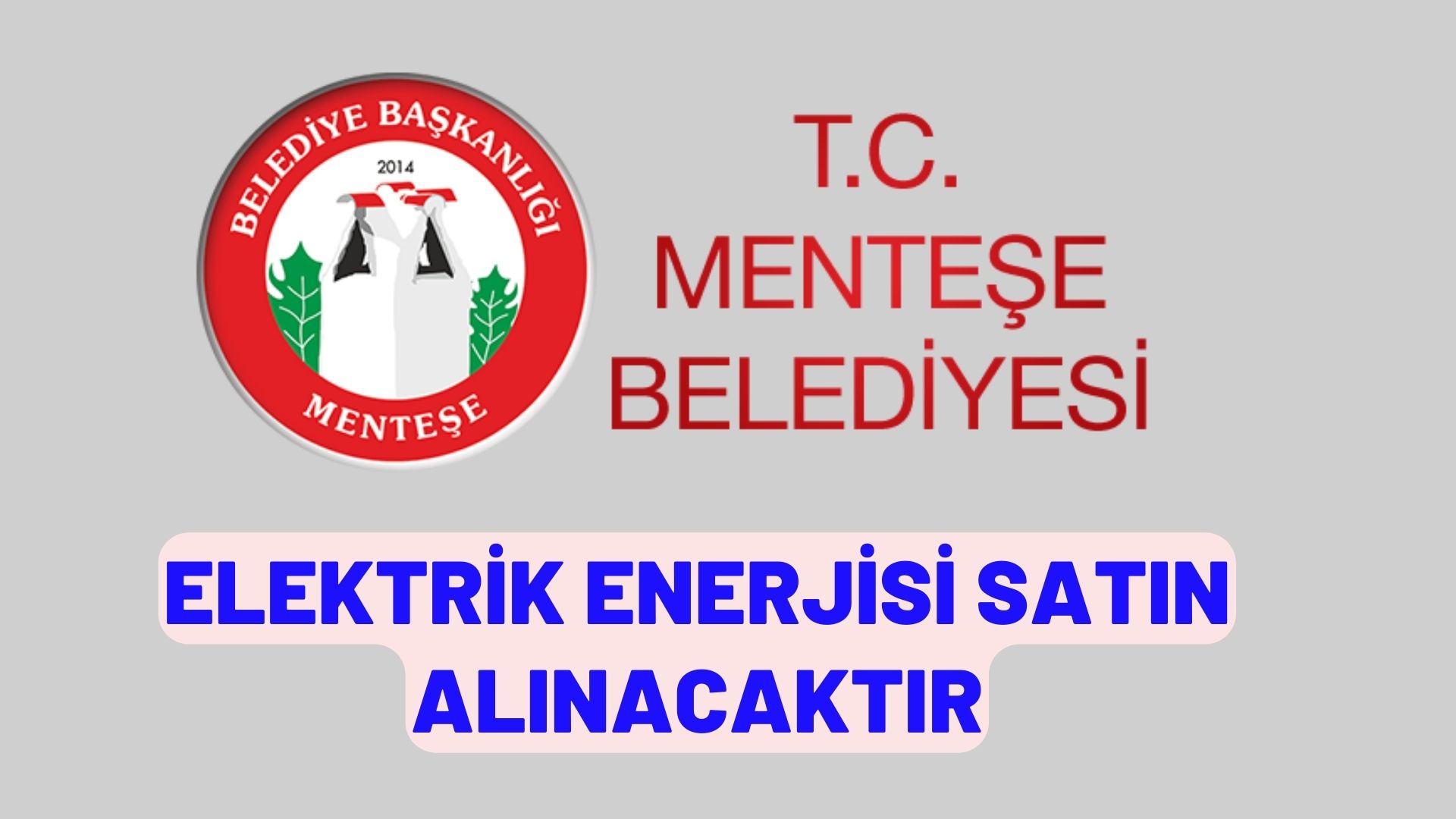 Elektrik enerjisi satın alınacaktır