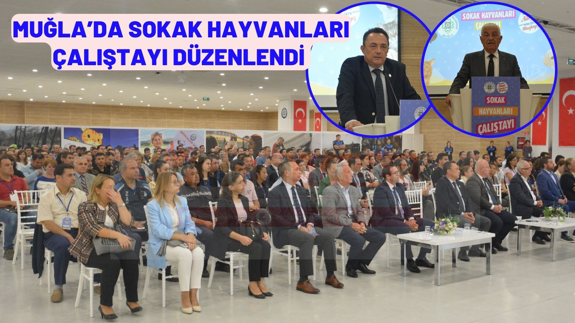 MUĞLA’DA SOKAK HAYVANLARI ÇALIŞTAYI DÜZENLENDİ