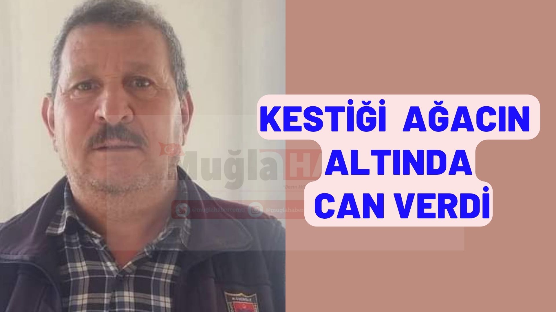 KESTİĞİ AĞACIN ALTINDA CAN VERDİ