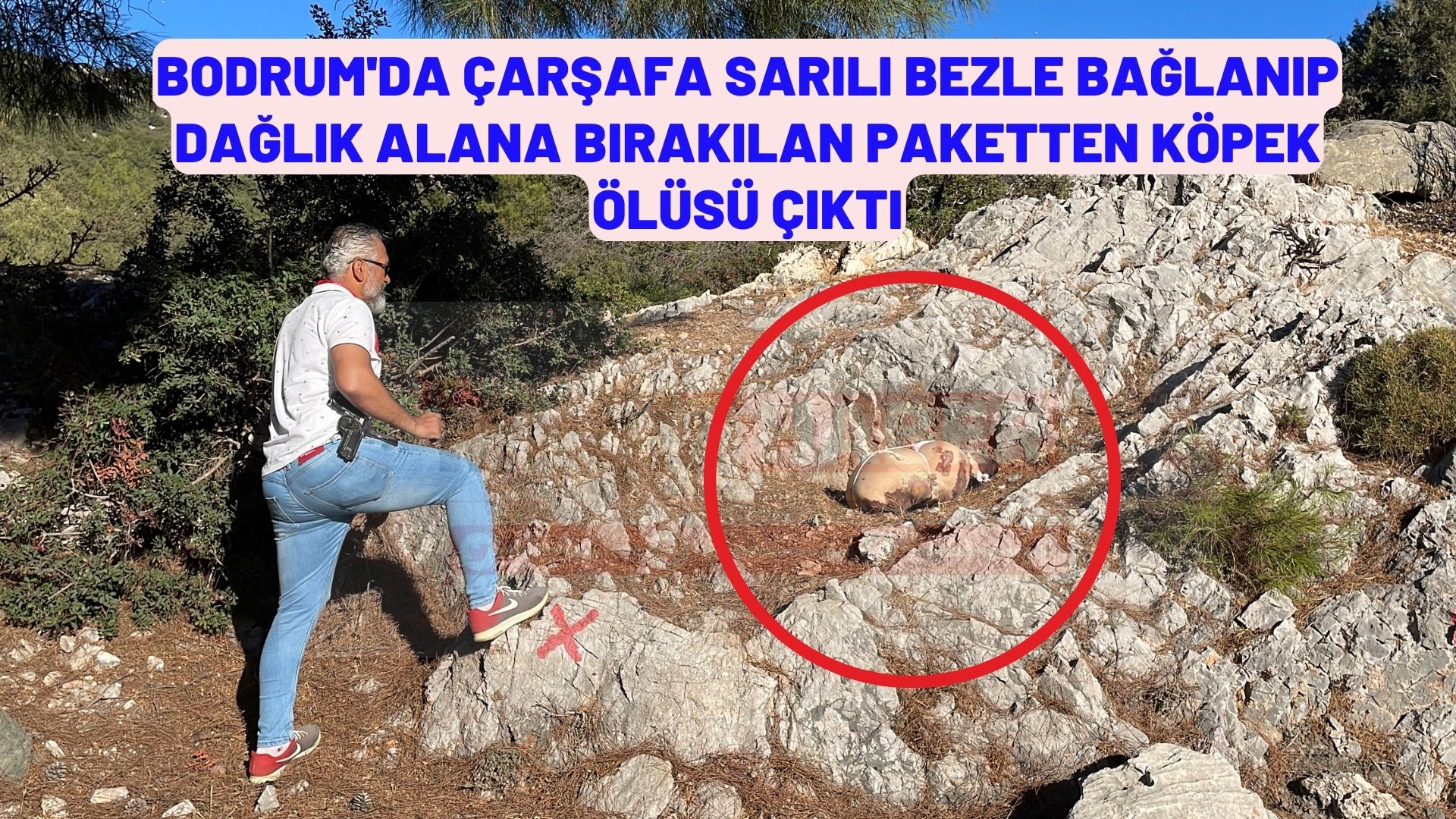 Bodrum'da çarşafa sarılı dağlık alana bırakılan paketten köpek ölüsü çıktı