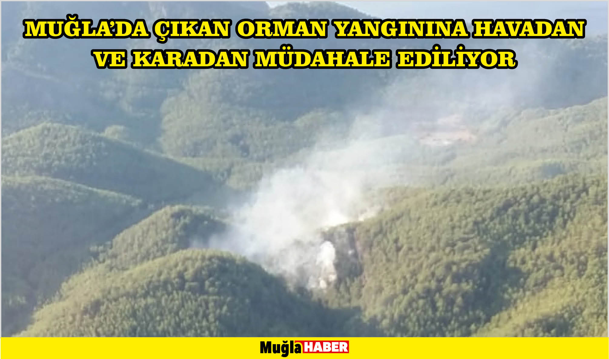 Muğla'da çıkan orman yangınına havadan ve karadan müdahale ediliyor