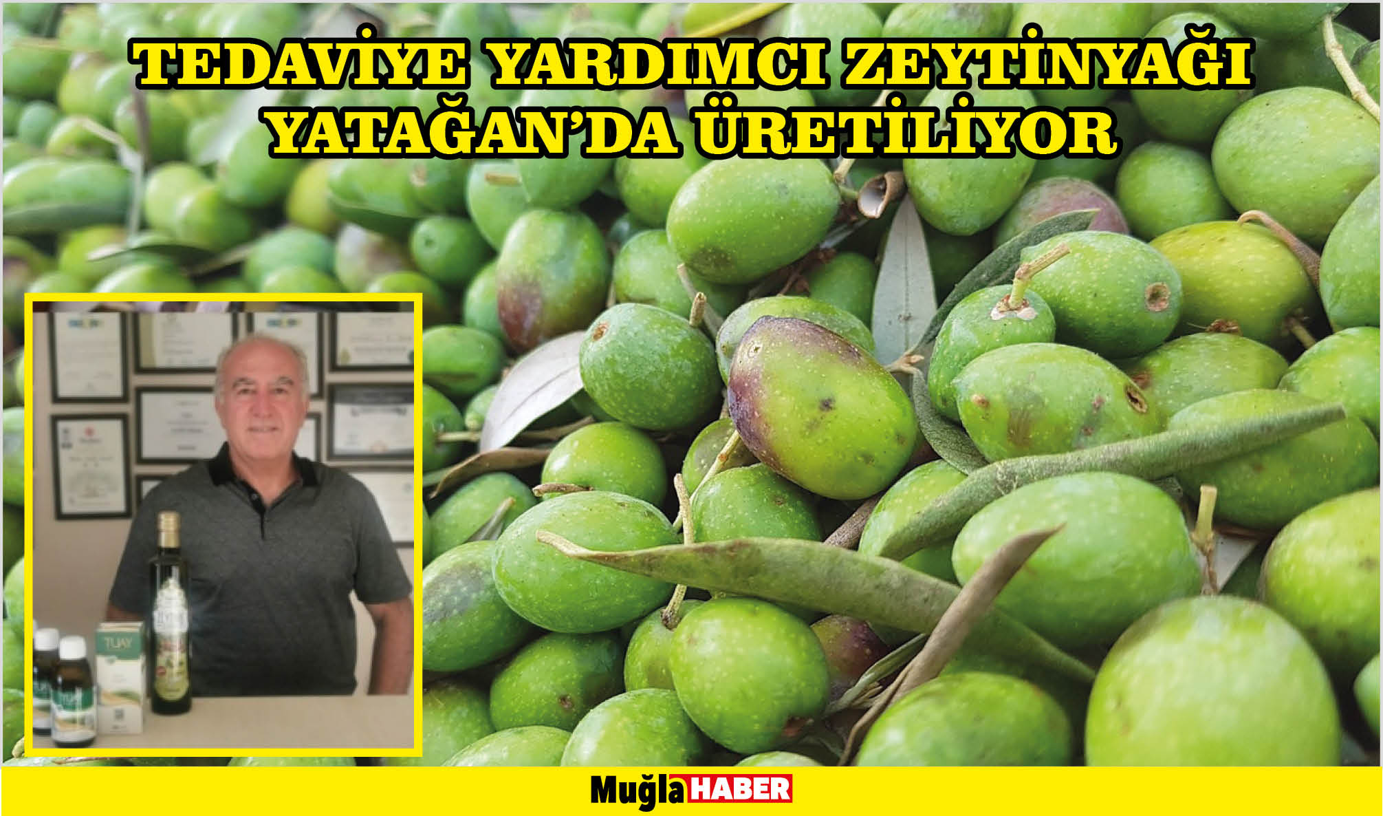 TEDAVİYE YARDIMCI ZEYTİNYAĞI YATAĞAN’DA ÜRETİLİYOR