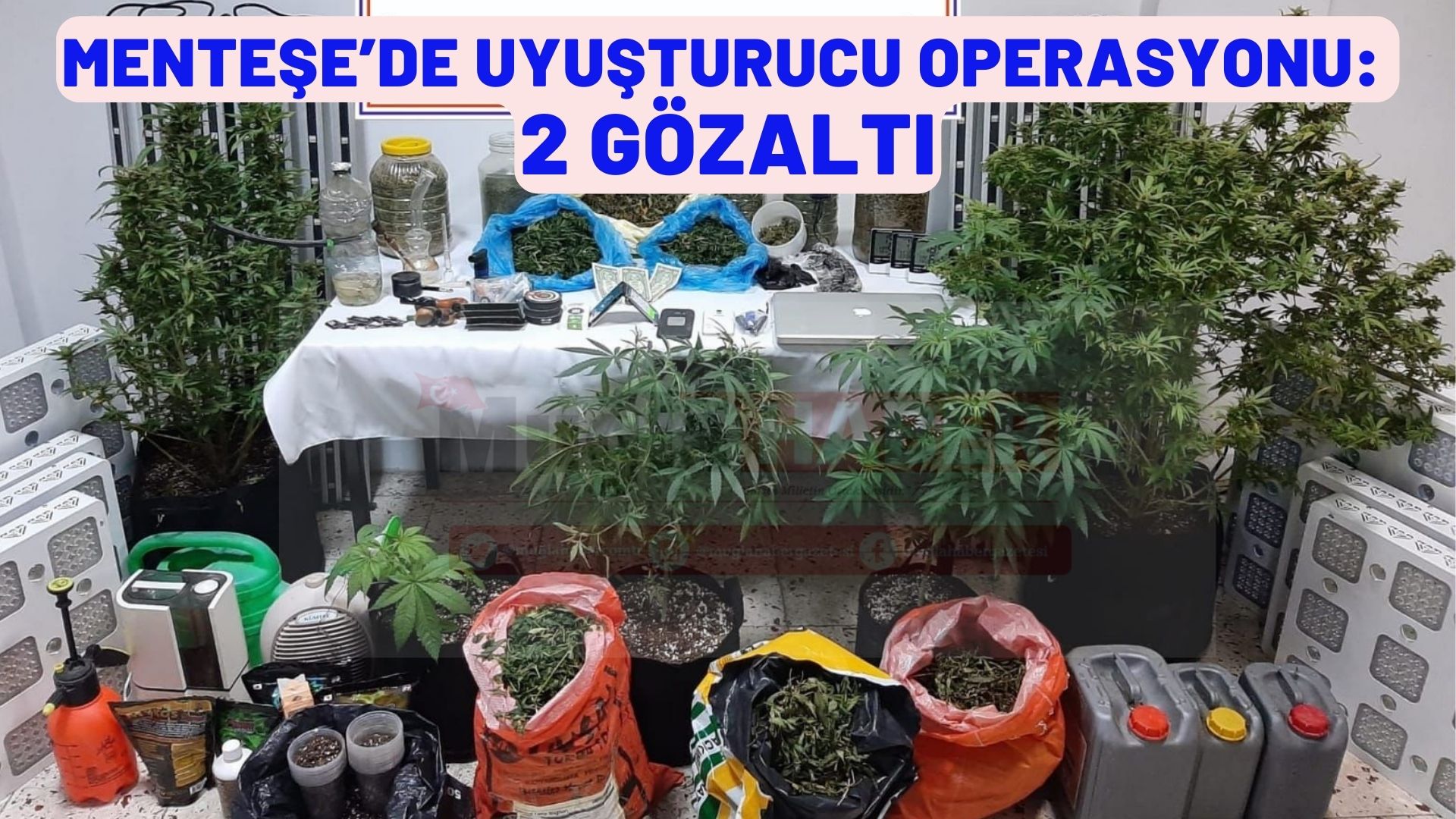 MENTEŞE’DE UYUŞTURUCU OPERASYONU: 2 GÖZALTI