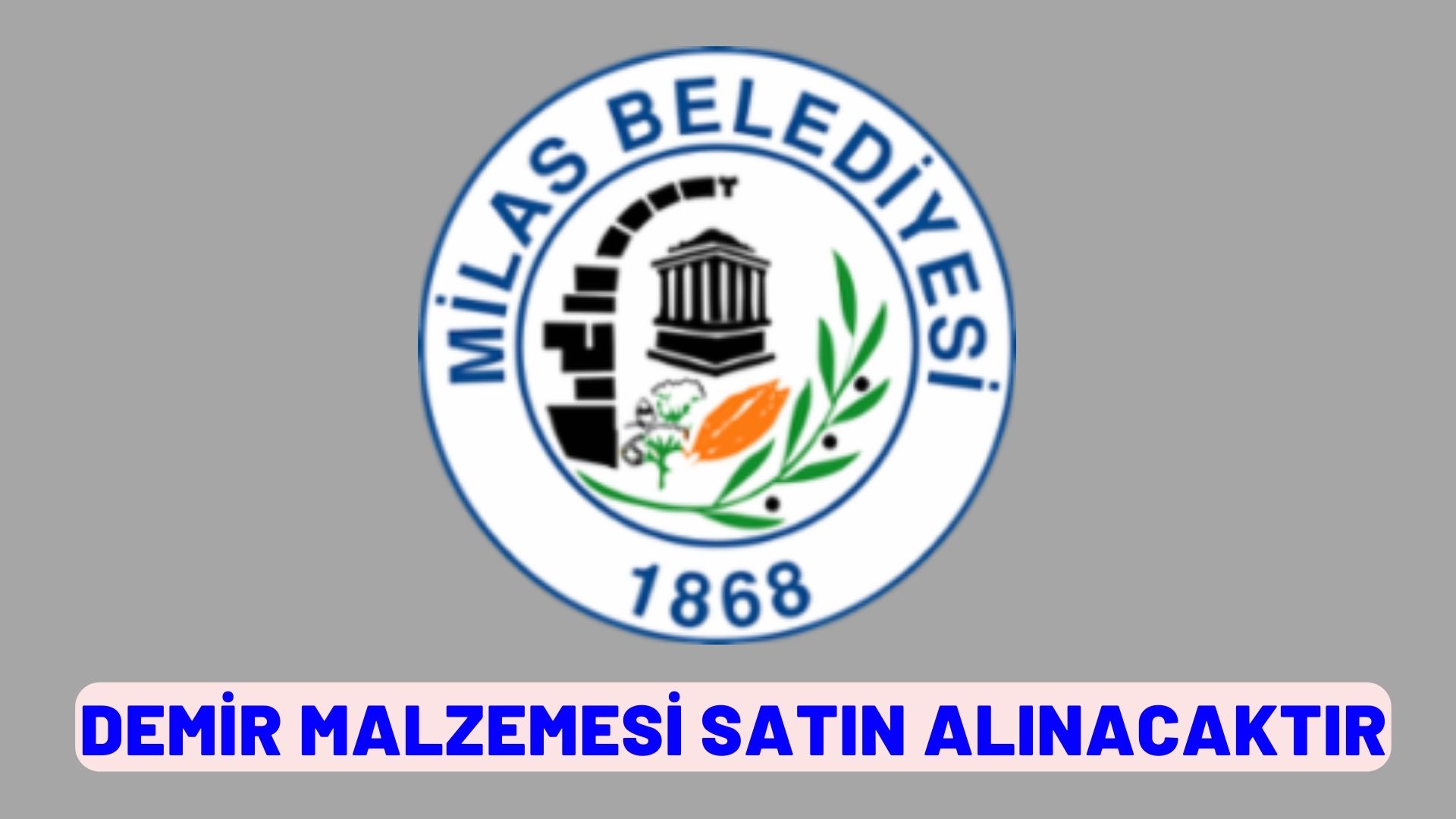 Demir malzemesi satın alınacaktır