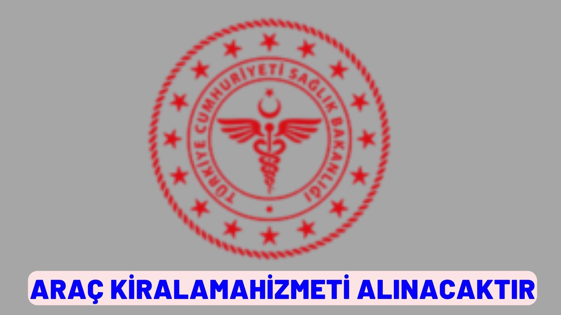 Araç kiralama hizmeti alınacaktır