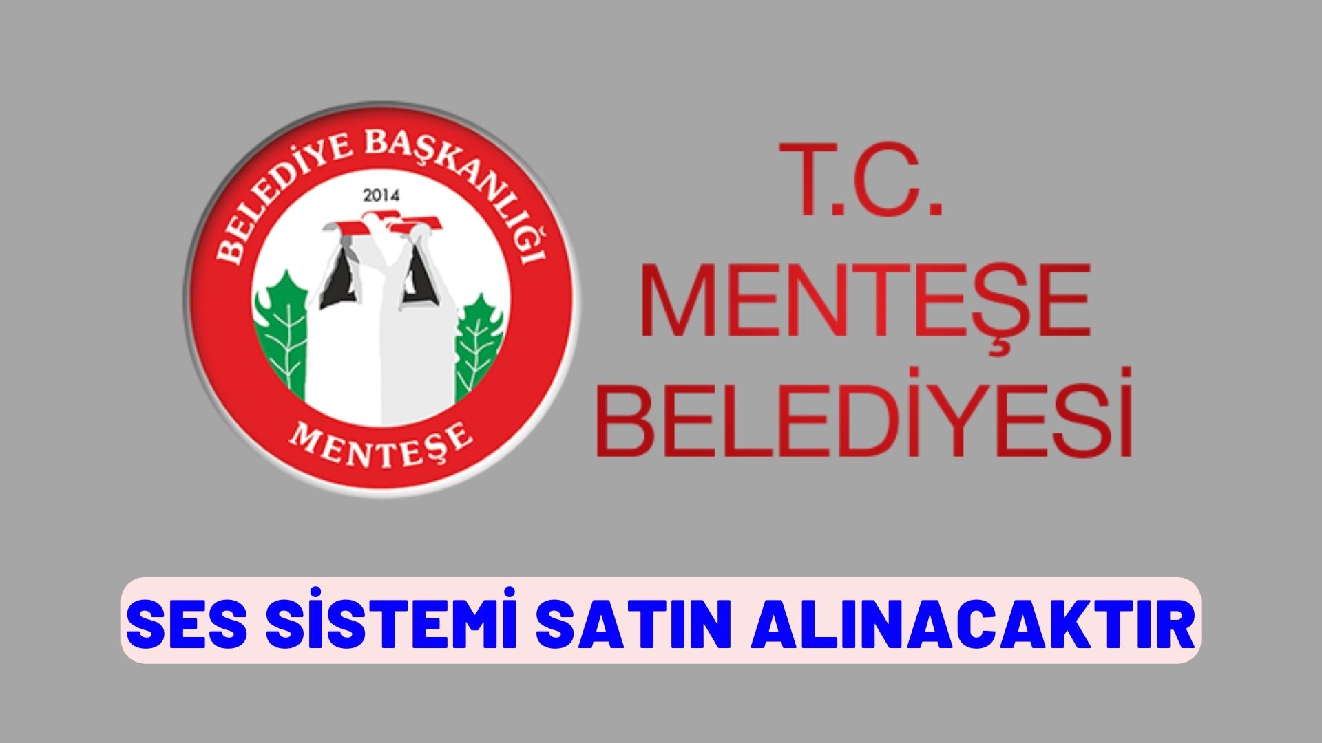 Ses sistemi satın alınacaktır