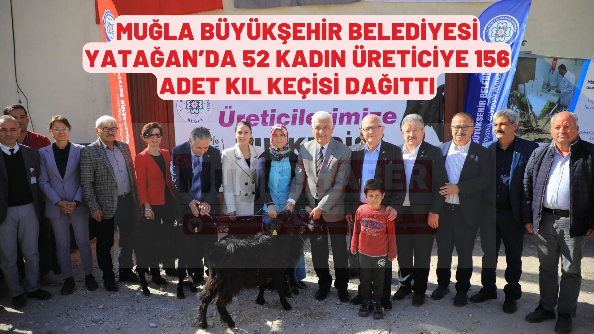 MUĞLA BÜYÜKŞEHİR BELEDİYESİ YATAĞAN’DA 52 KADIN ÜRETİCİYE 156 ADET KIL KEÇİSİ DAĞITTI