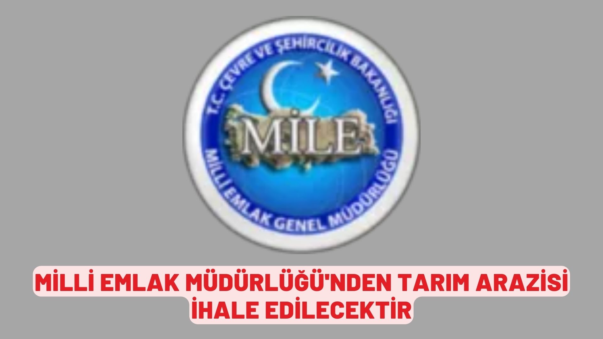 Milli Emlak Müdürlüğü'nden tarım arazisi ihale edilecektir