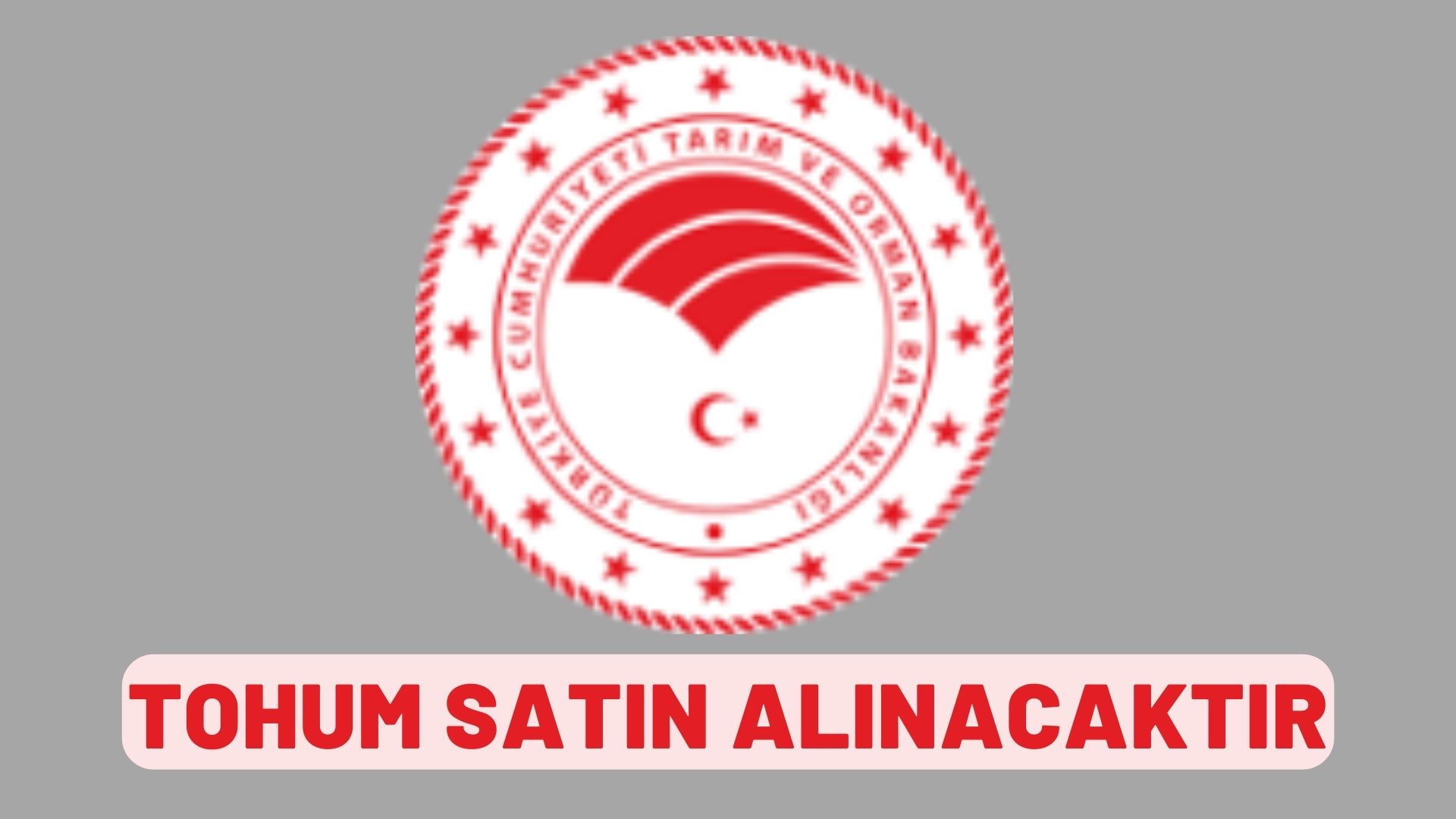 Tohum satın alınacaktır