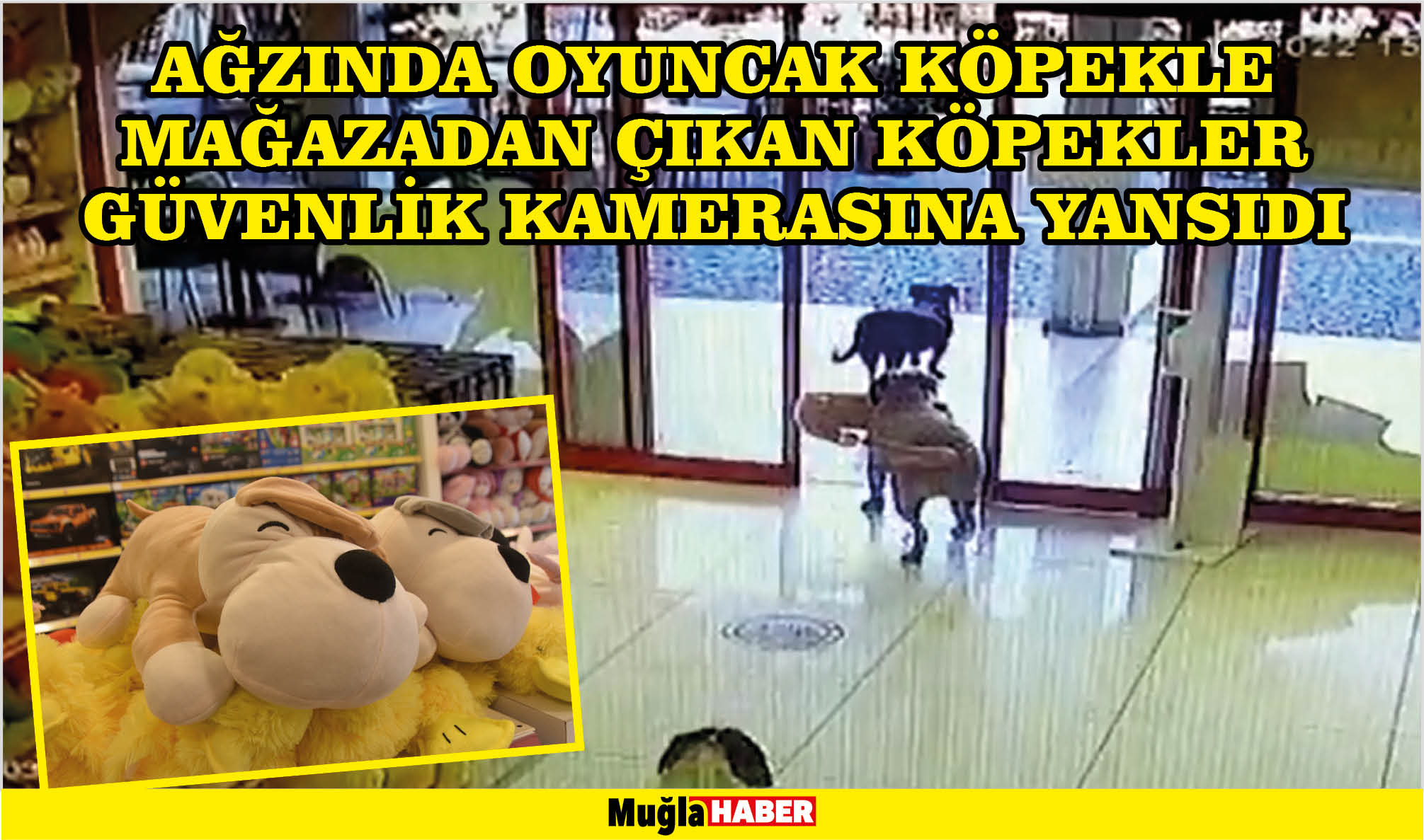 ağzında oyuncak köpekle mağazadan çıkan köpekler güvenlik kamerasına yansıdı