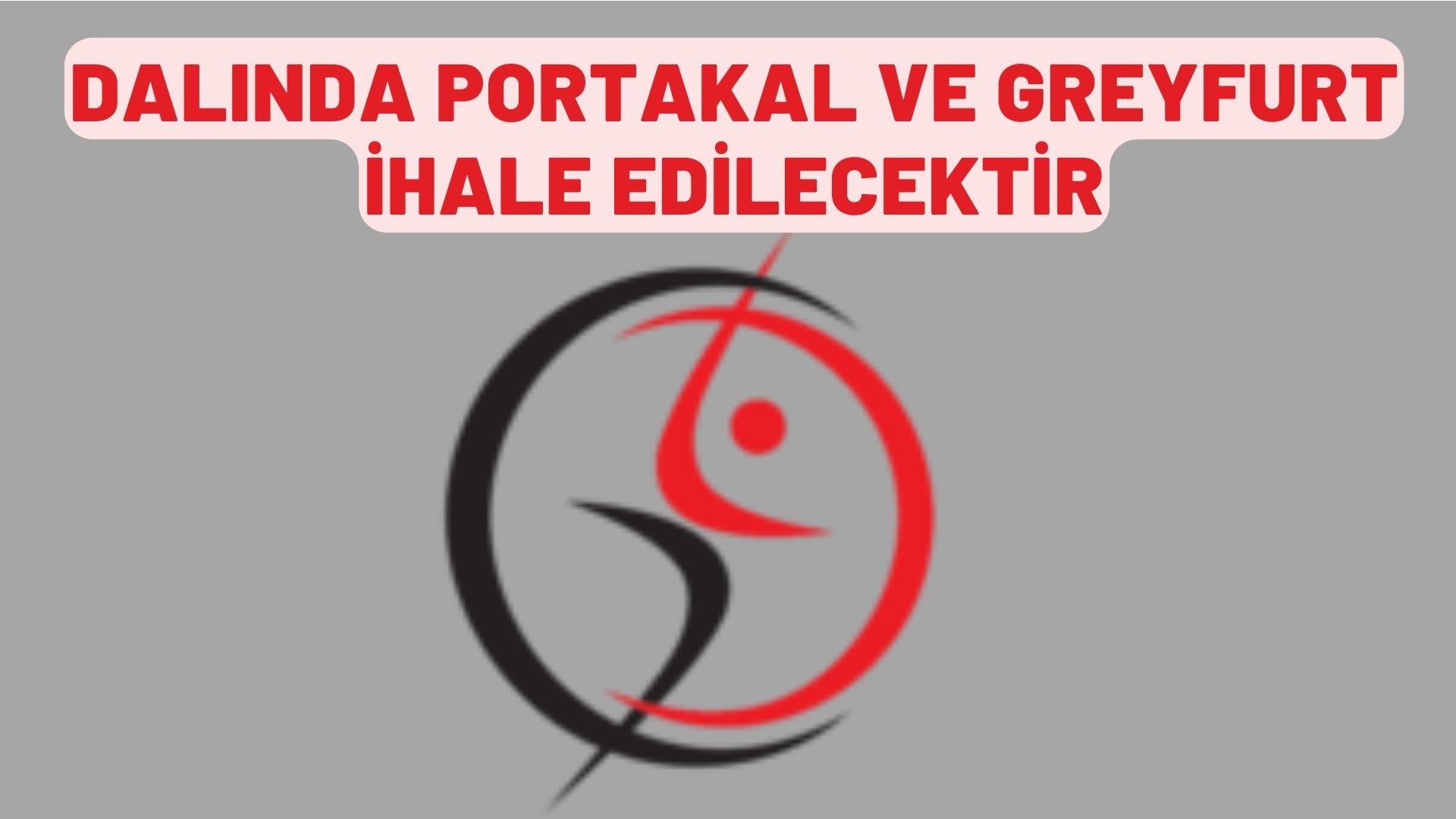 Dalında portakal ve greyfurt ihale edilecektir