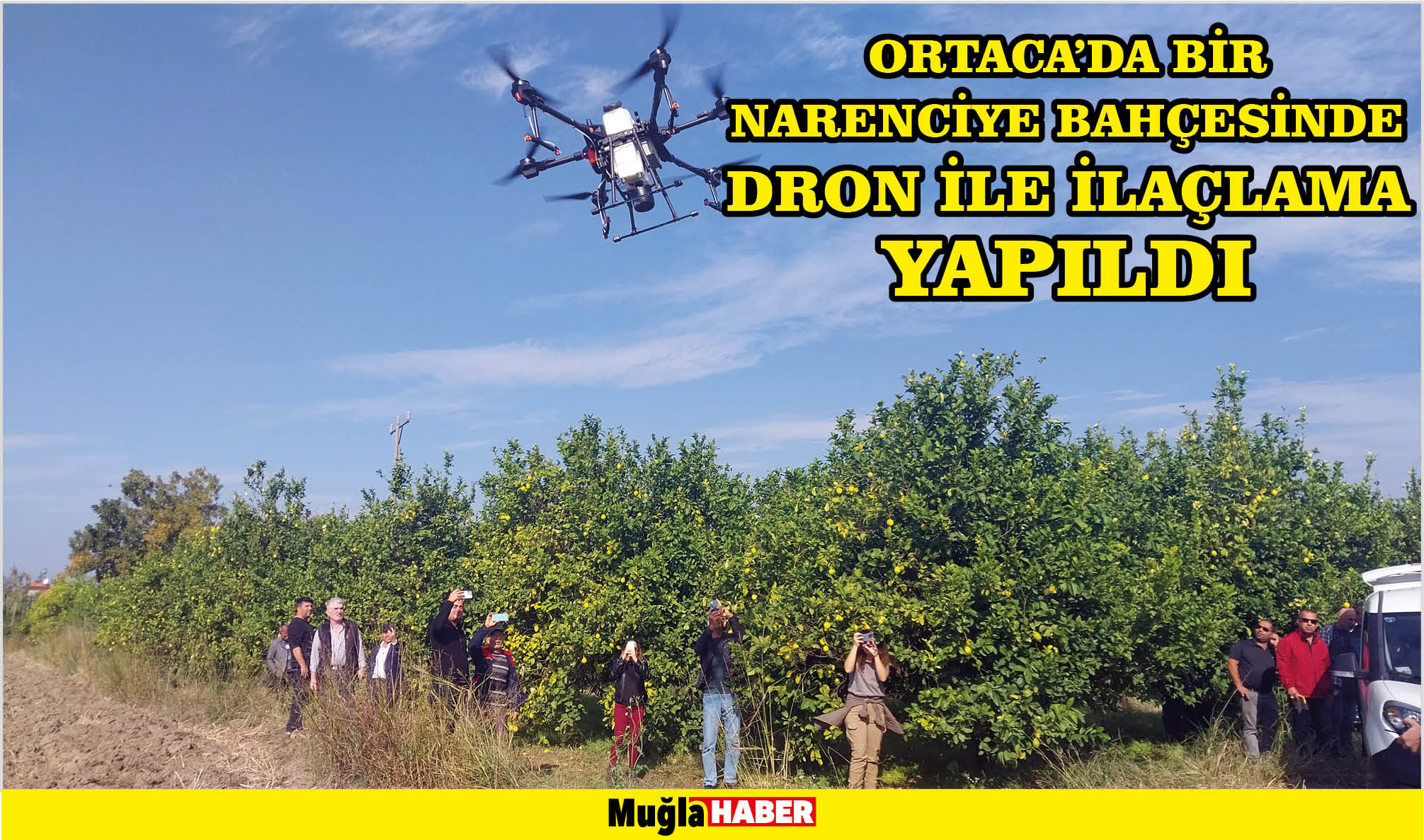 Ortaca'da bir narenciye bahçesinde dron ile ilaçlama yapıldı