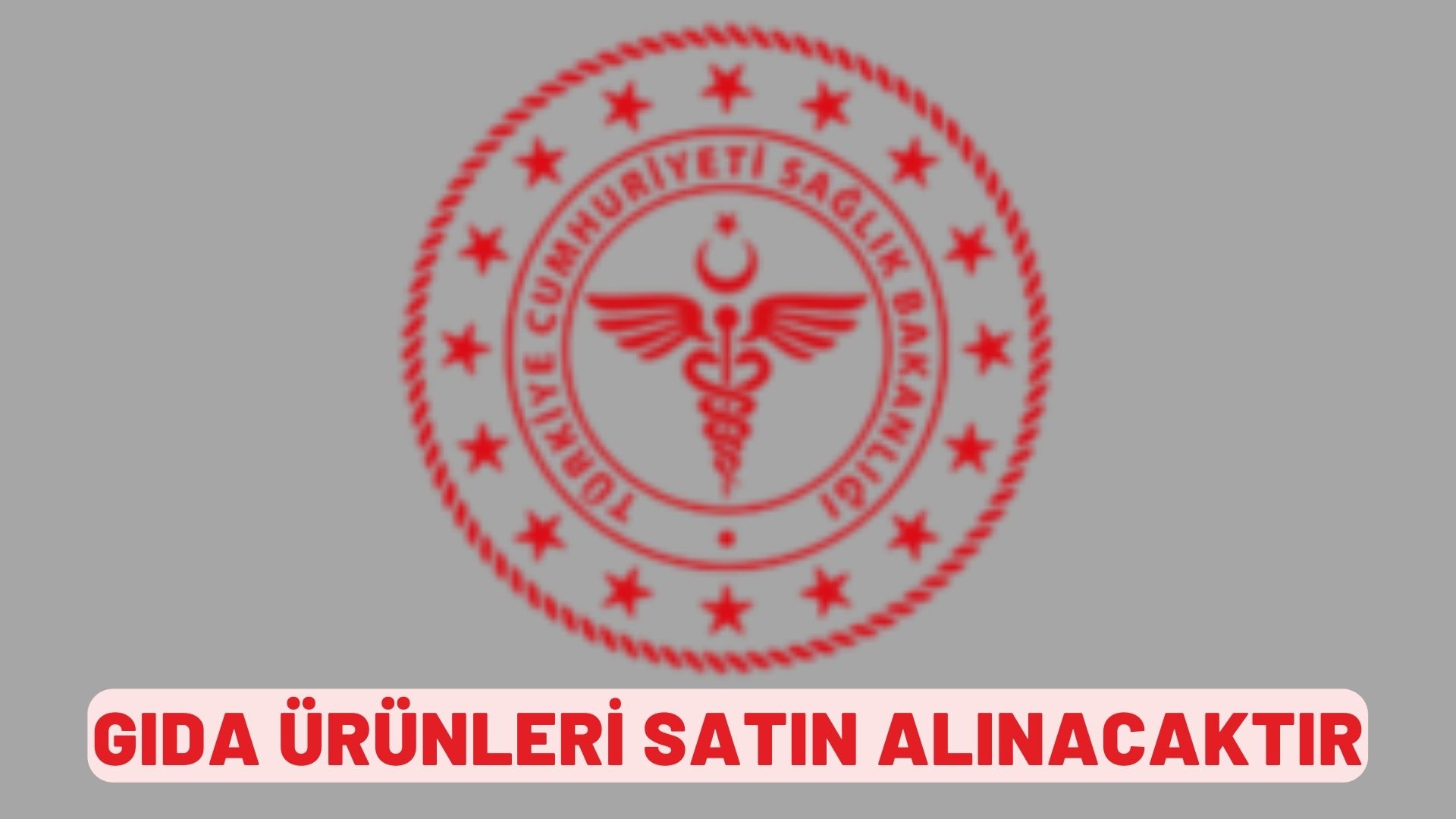 Gıda ürünleri satın alınacaktır