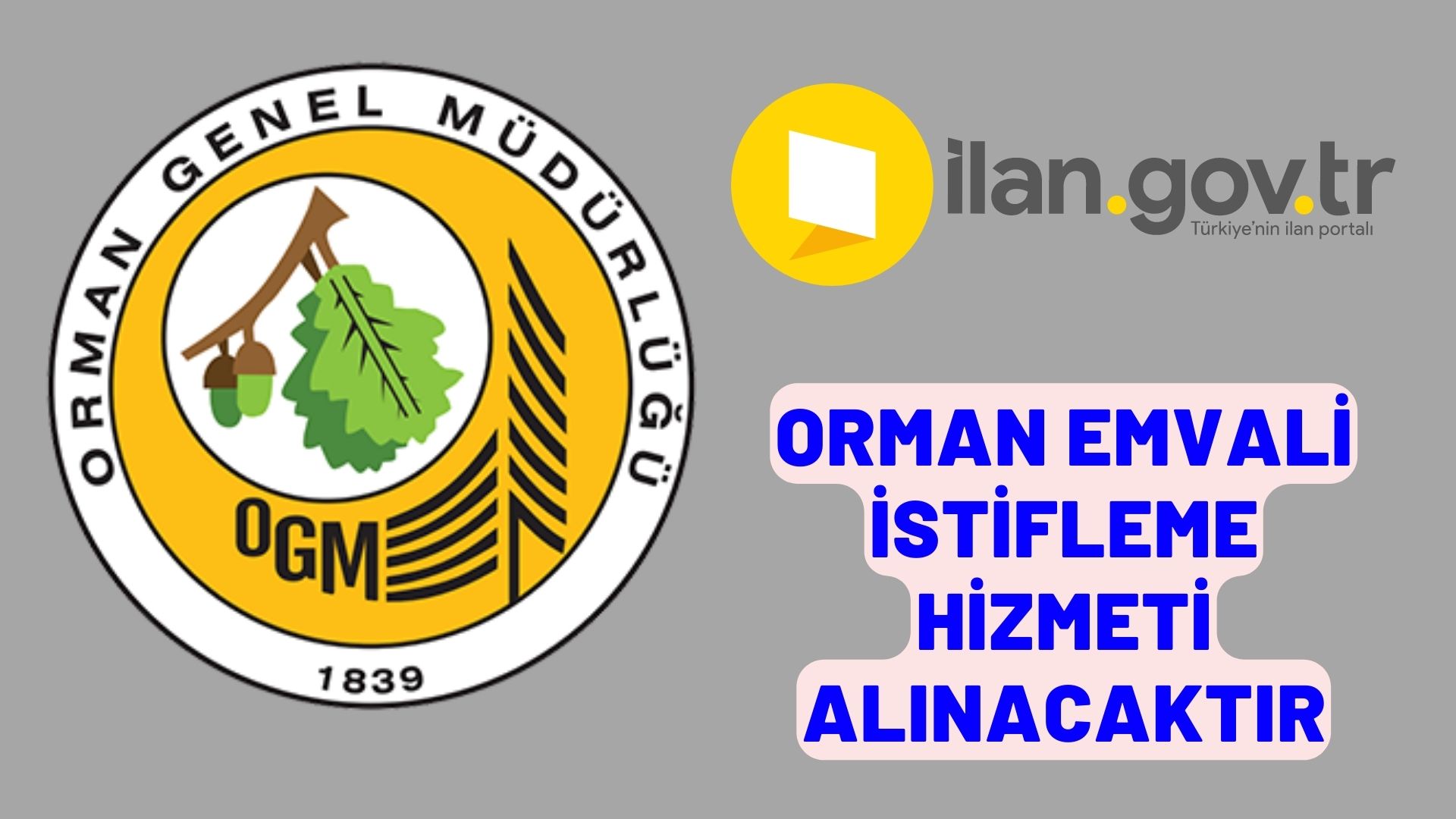 Orman emvali istifleme hizmeti alınacaktır