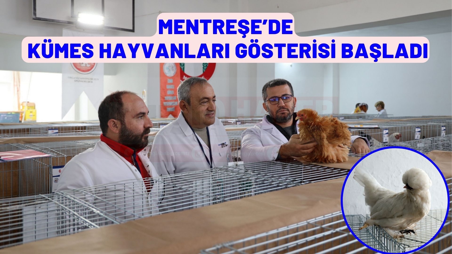 Menteşe’de Kümes Hayvanları Gösterisi Başladı