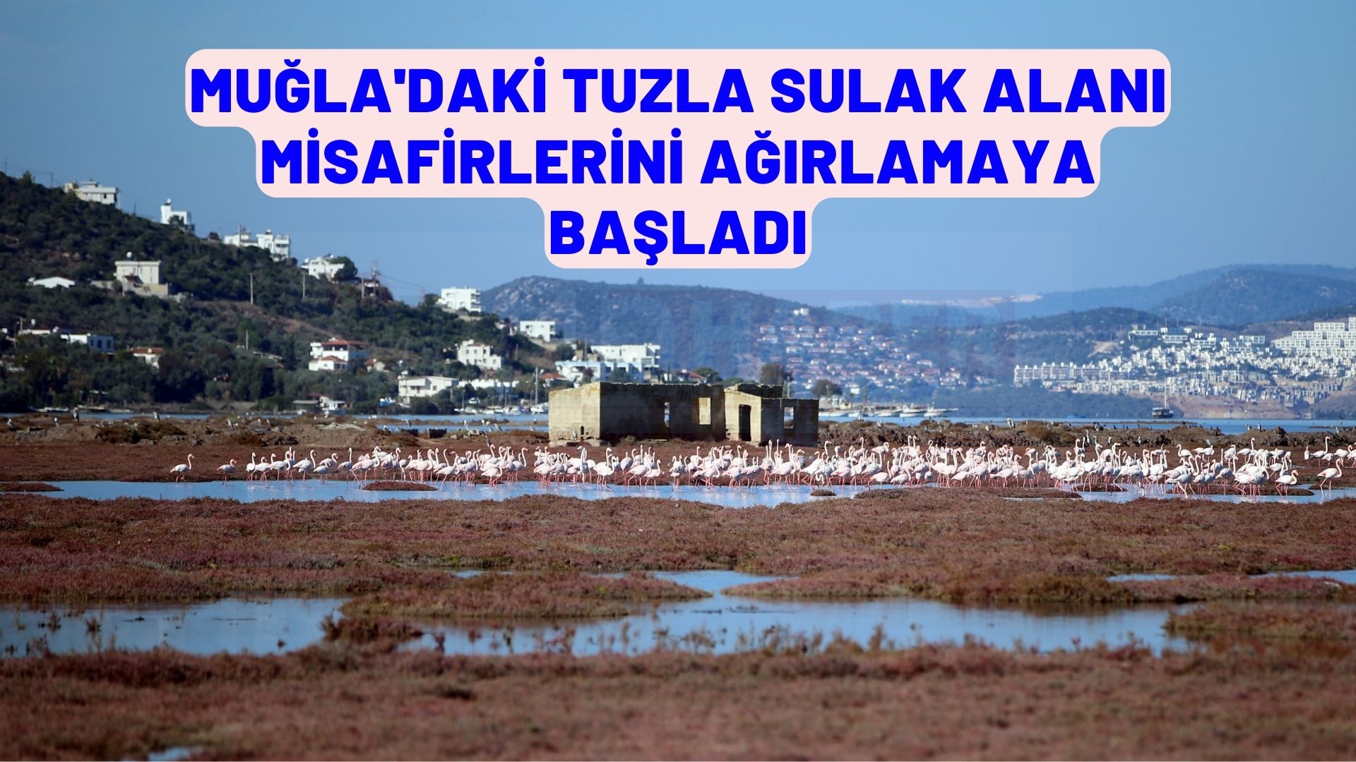 Muğla'daki Tuzla Sulak Alanı misafirlerini ağırlamaya başladı